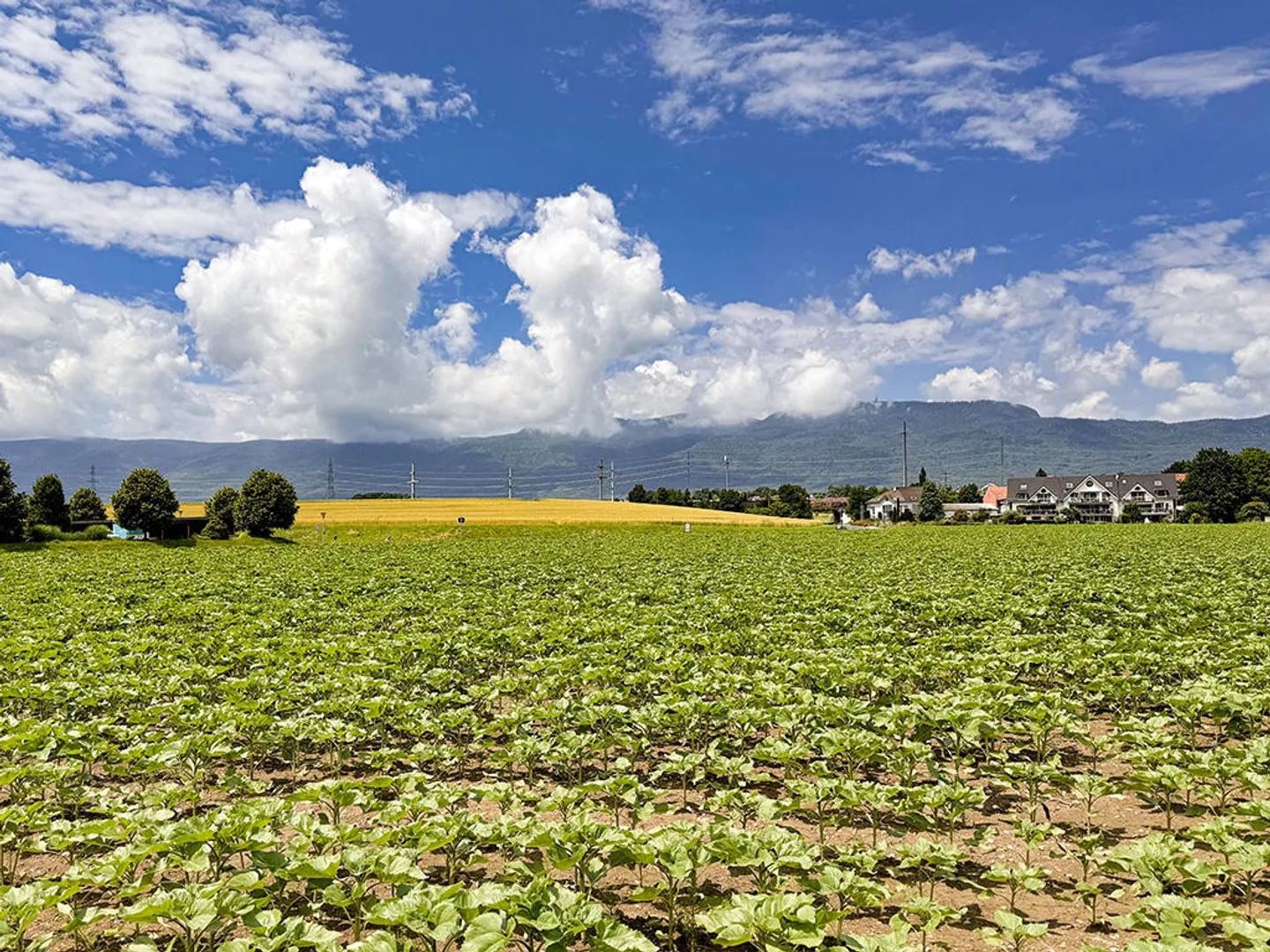 Villa 6.5 Zimmer - Foto 1 von 3