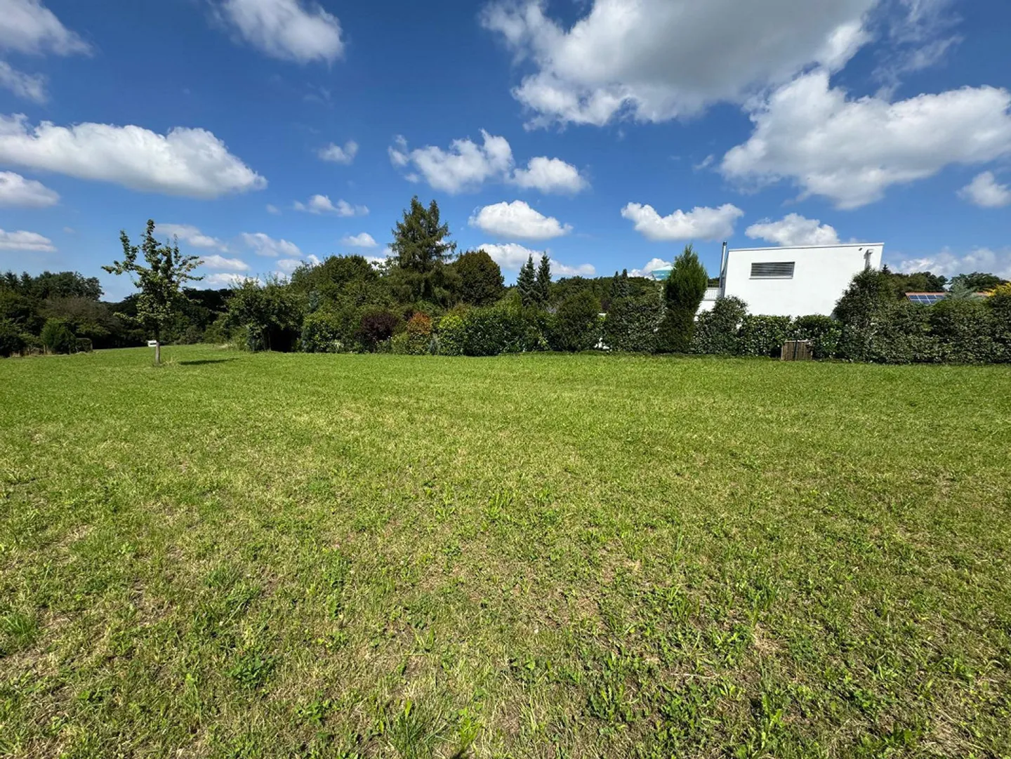 Dreamlike plot in Hochwald including building reserve and approved project - Photo 4 of 13