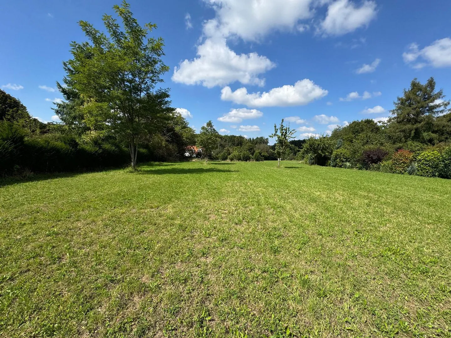 Dreamlike plot in Hochwald including building reserve and approved project - Photo 2 of 13