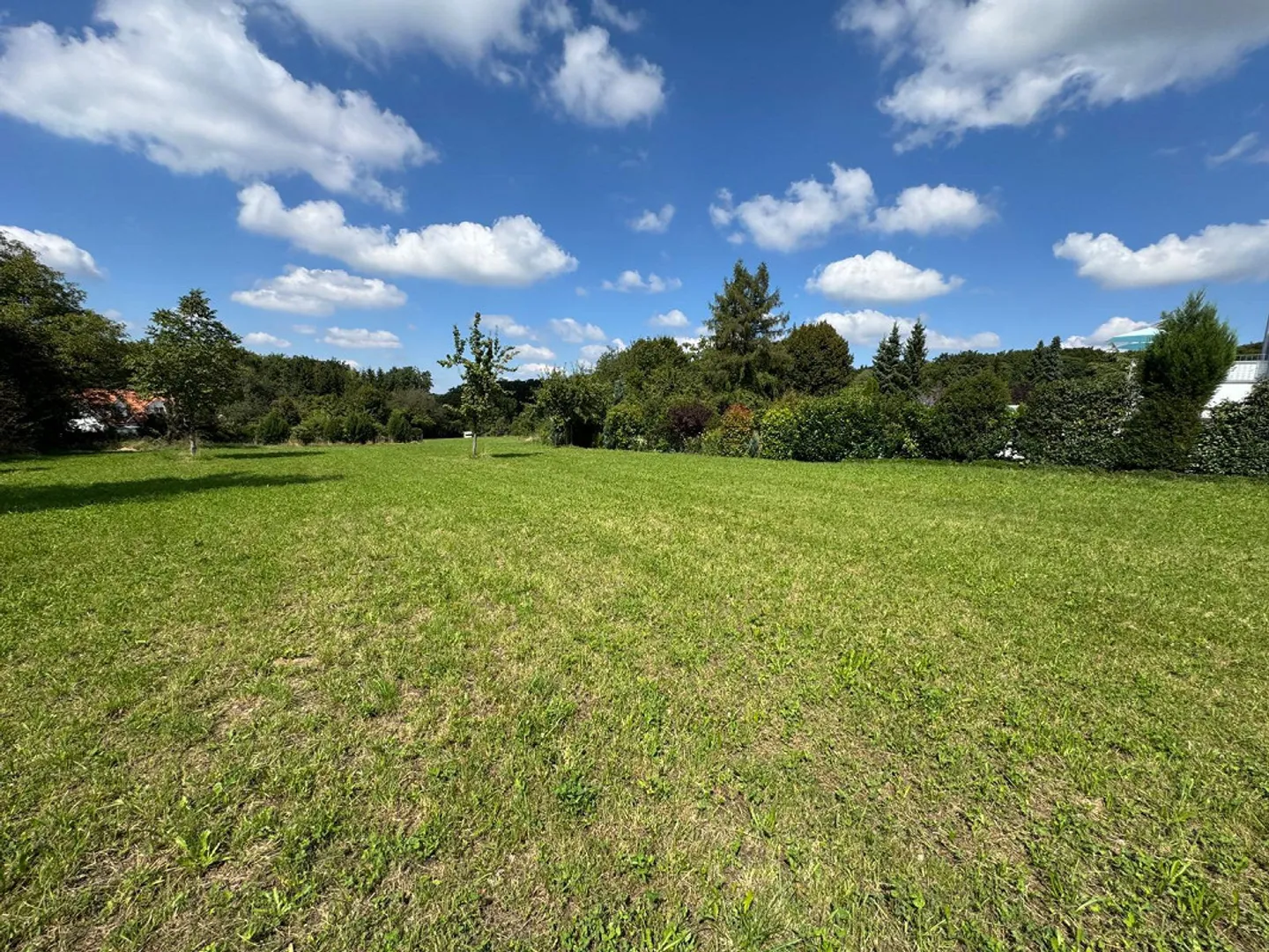 Dreamlike plot in Hochwald including building reserve and approved project - Photo 3 of 13