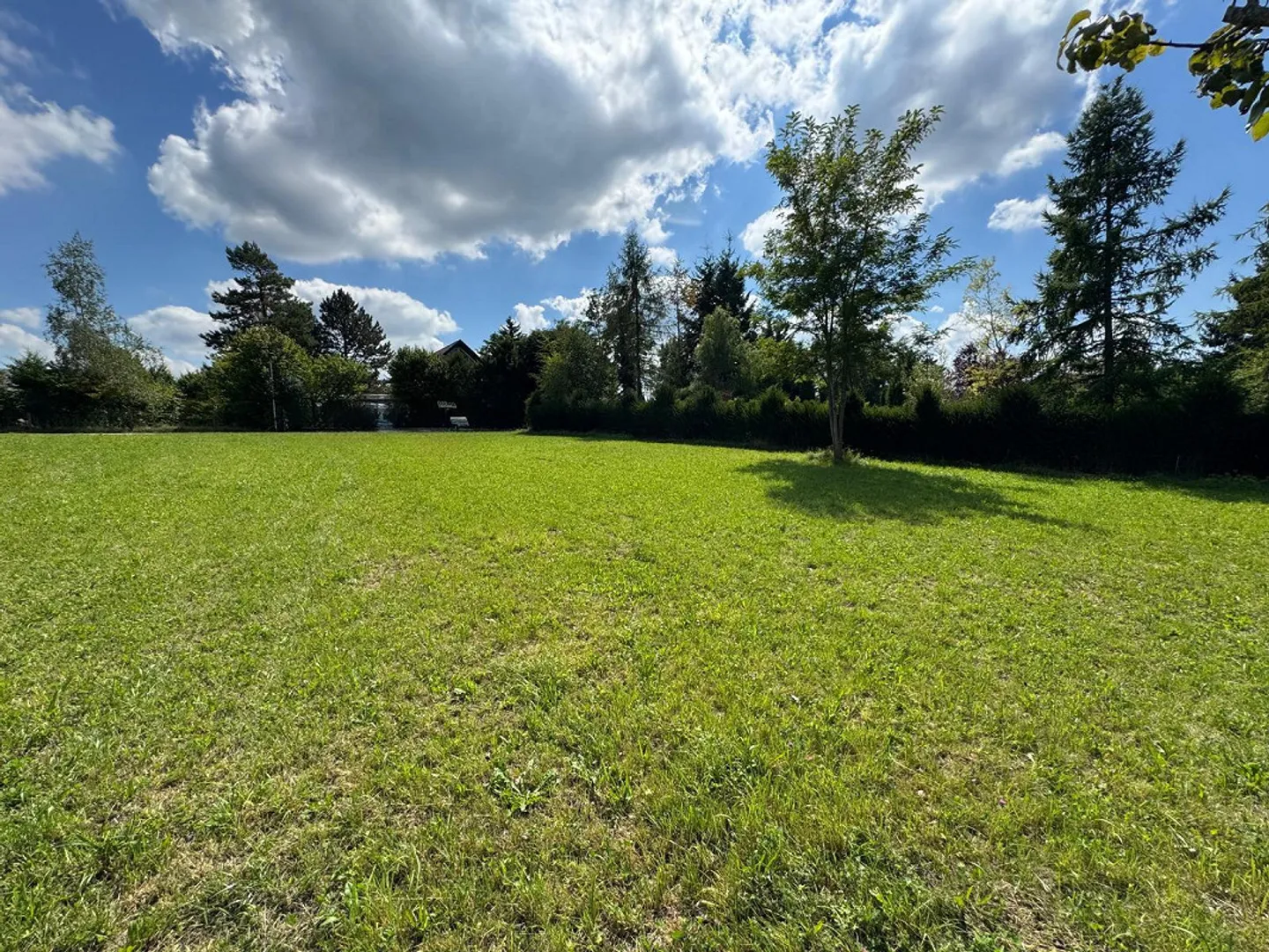 Dreamlike plot in Hochwald including building reserve and approved project - Photo 6 of 13