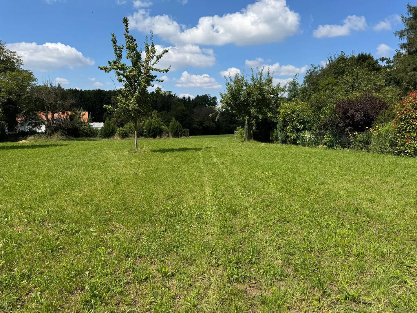Dreamlike plot in Hochwald including building reserve and approved project - Photo 7 of 13