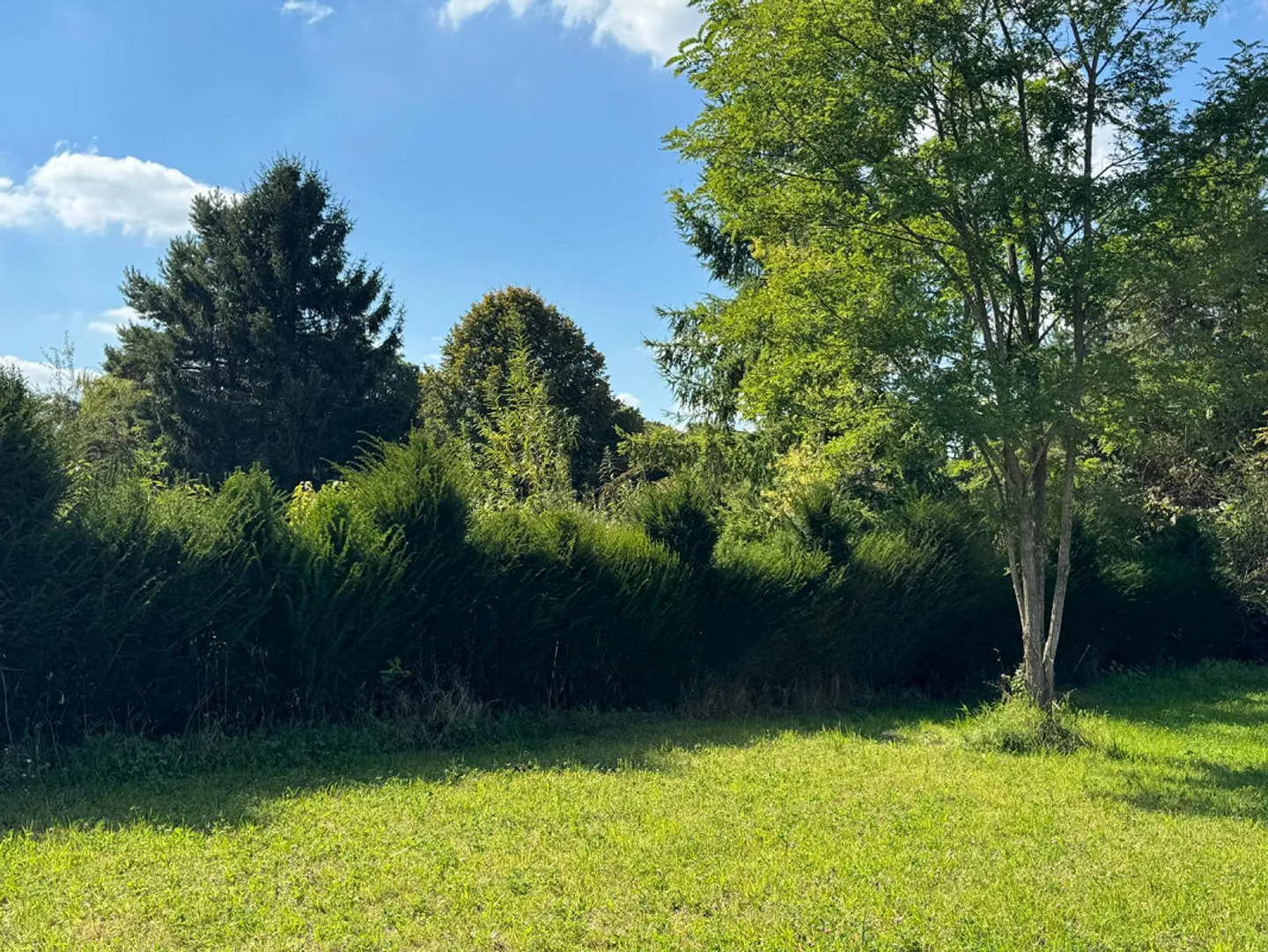 Dreamlike plot in Hochwald including building reserve and approved project - Photo 8 of 13