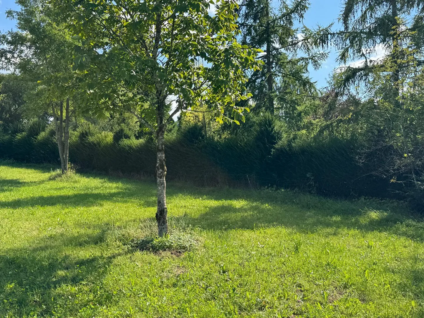 Dreamlike plot in Hochwald including building reserve and approved project - Photo 9 of 13