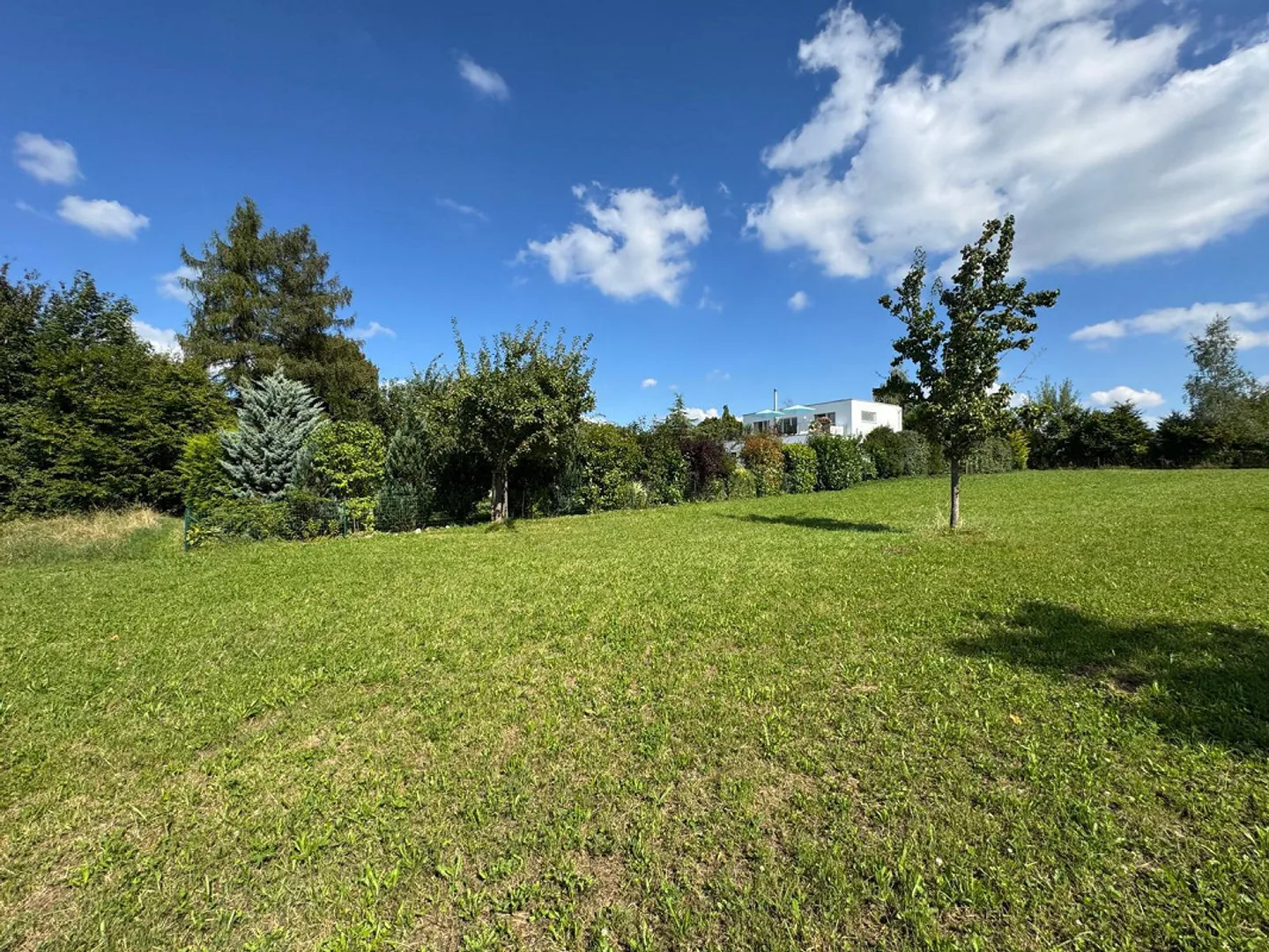 Dreamlike plot in Hochwald including building reserve and approved project - Photo 10 of 13