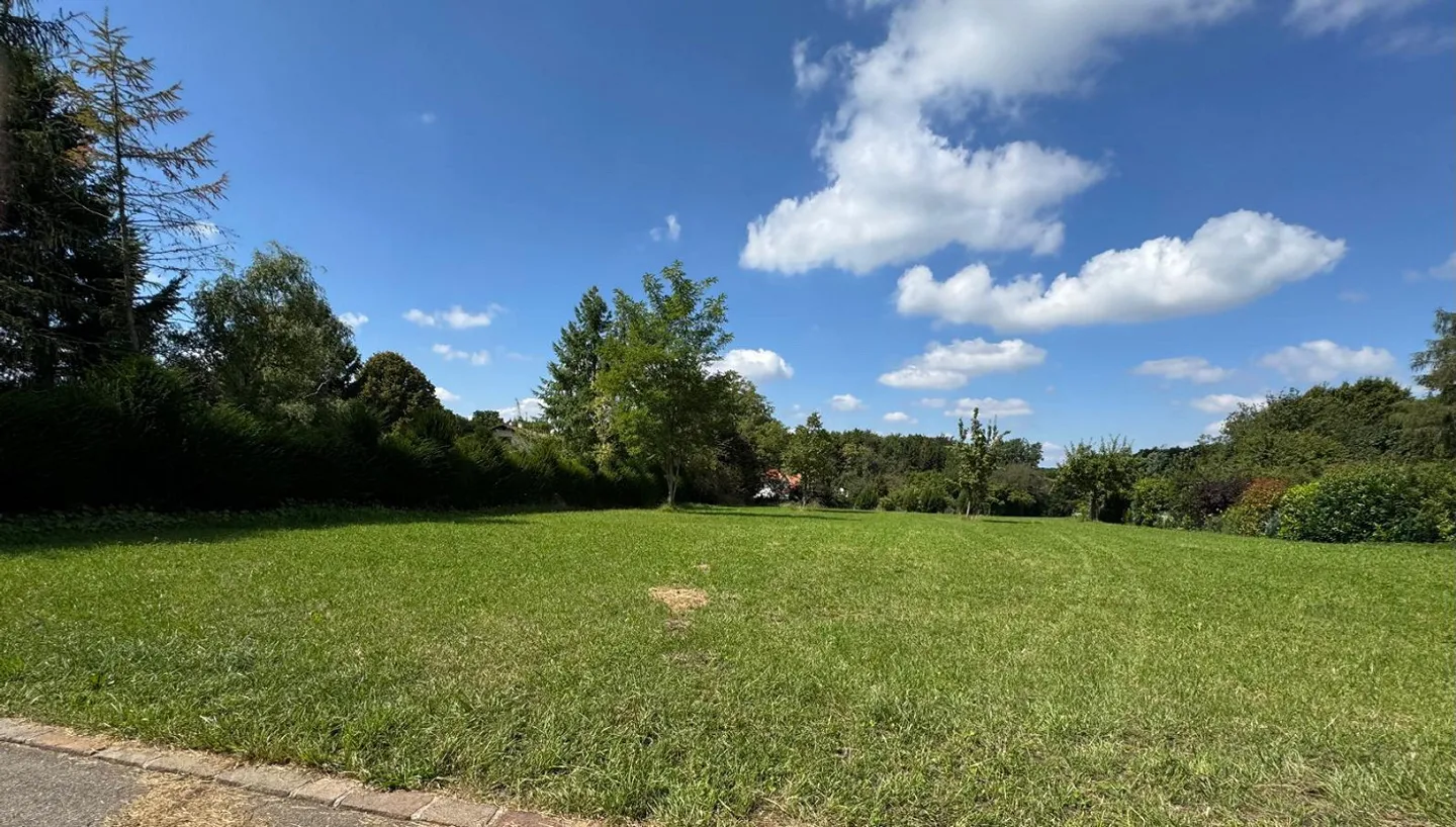 Dreamlike plot in Hochwald including building reserve and approved project - Photo 12 of 13