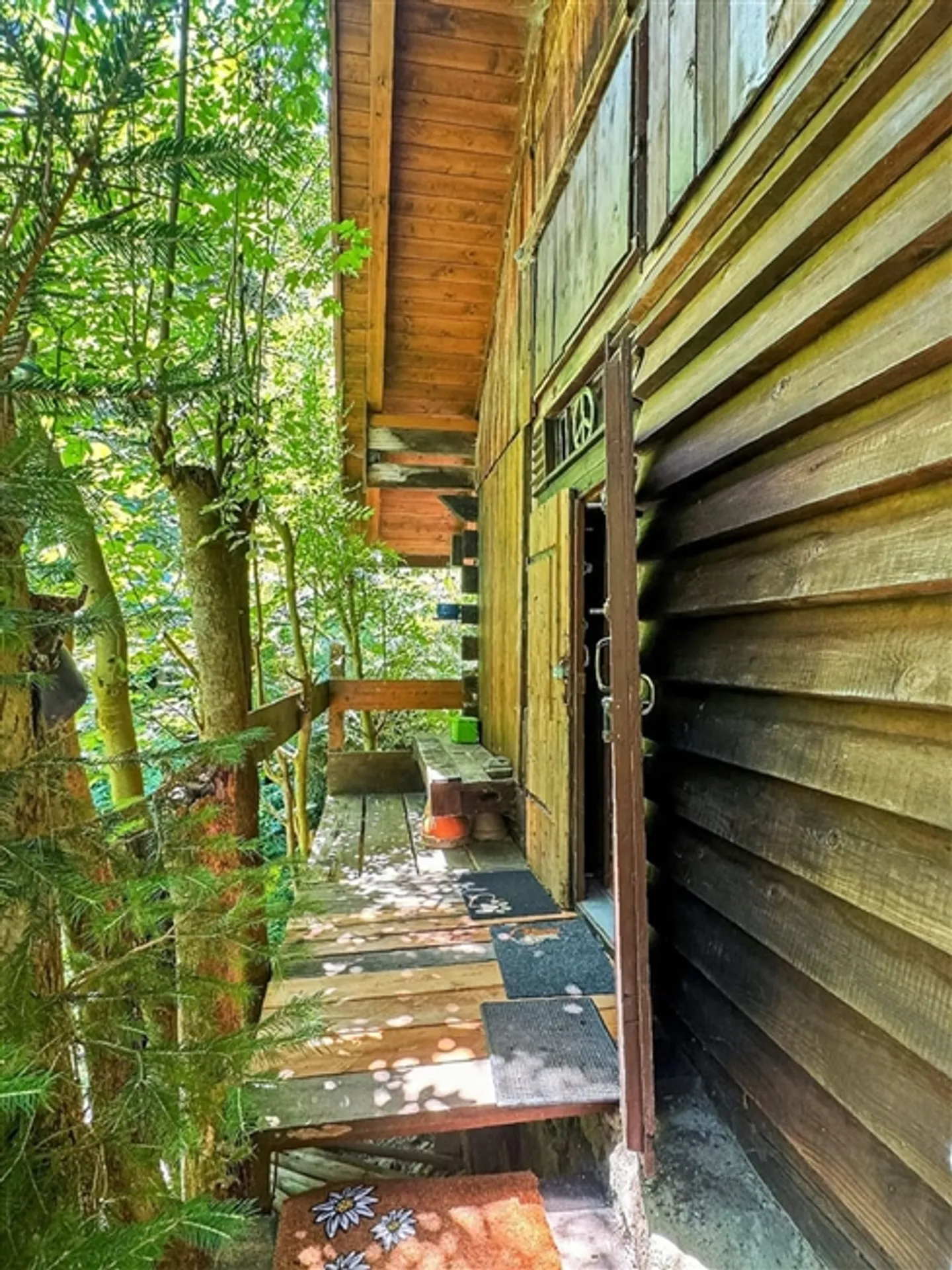 2 Room farm - Photo 11 of 13