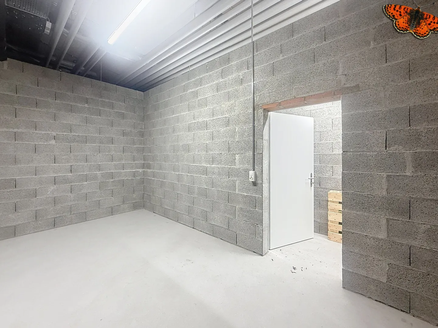 Espace de stockage polyvalent - Photo 3 sur 4