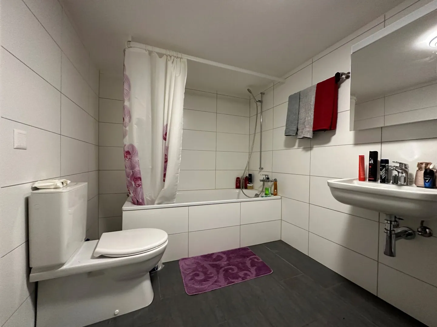 Appartamento 2.5 stanze - Foto 5 di 6