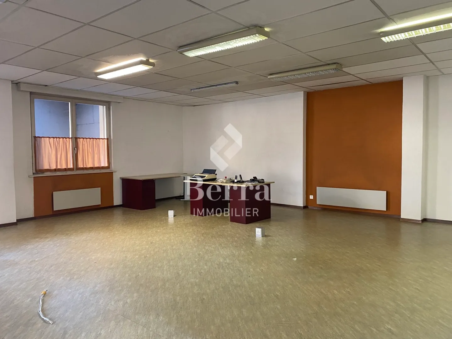 Multipurpose building for commercial and artisanal use - Photo 1 of 9