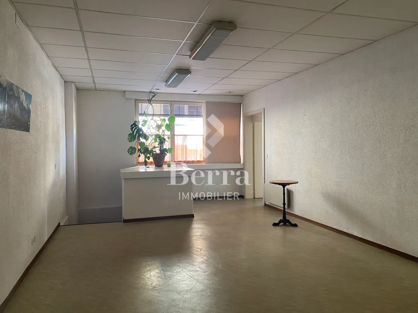 Multipurpose building for commercial and artisanal use - Photo 3 of 9