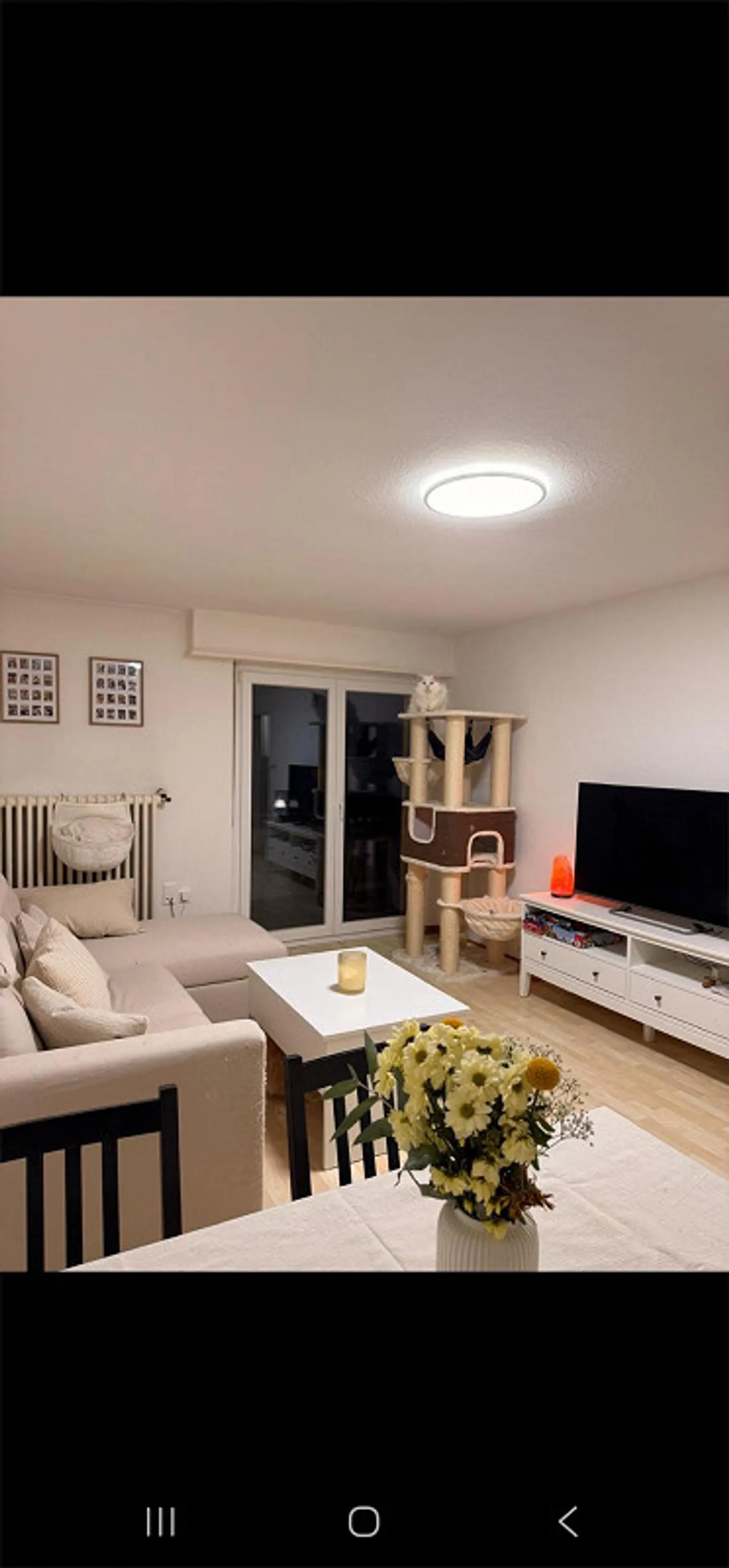 Luminoso appartamento di 3 stanze a Buchthalen - Foto 1 di 12