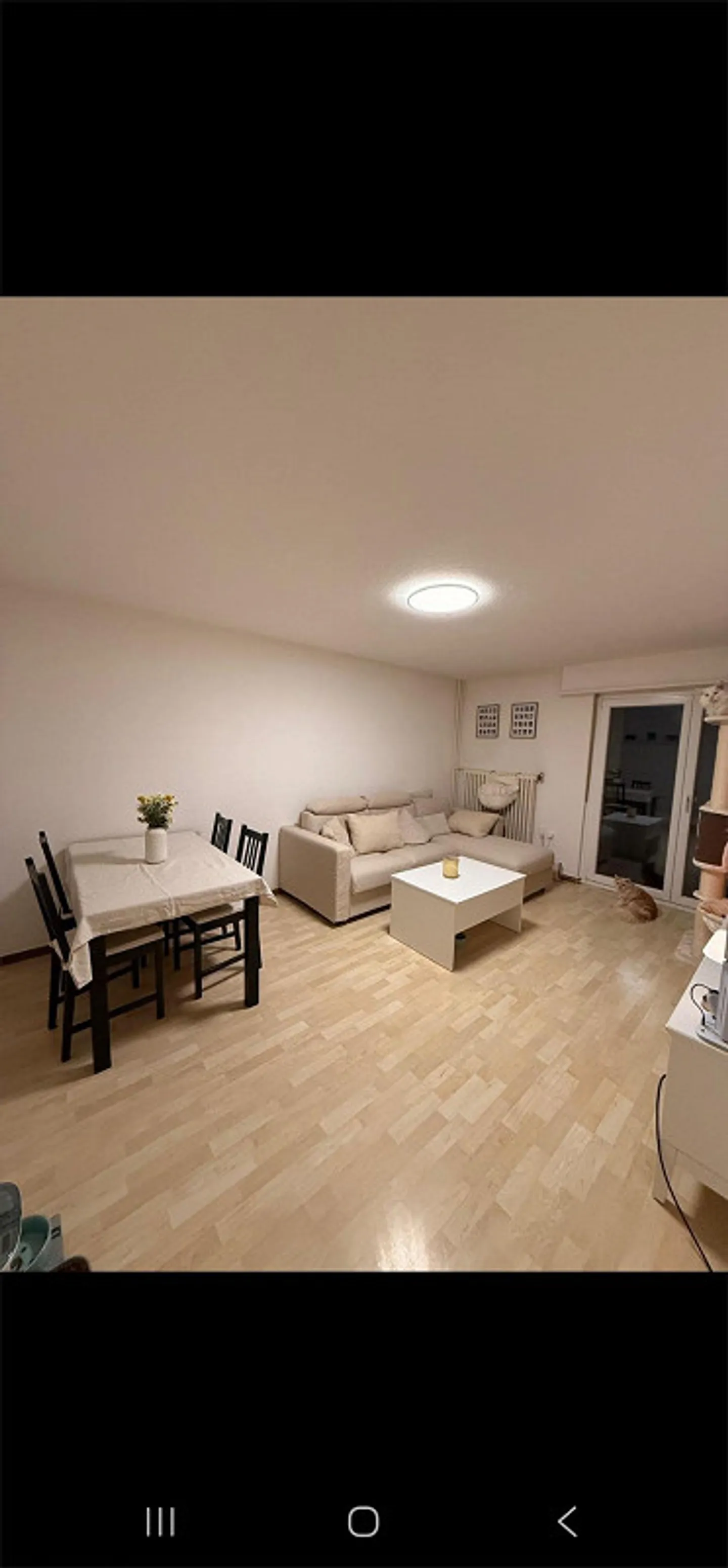 Luminoso appartamento di 3 stanze a Buchthalen - Foto 2 di 12