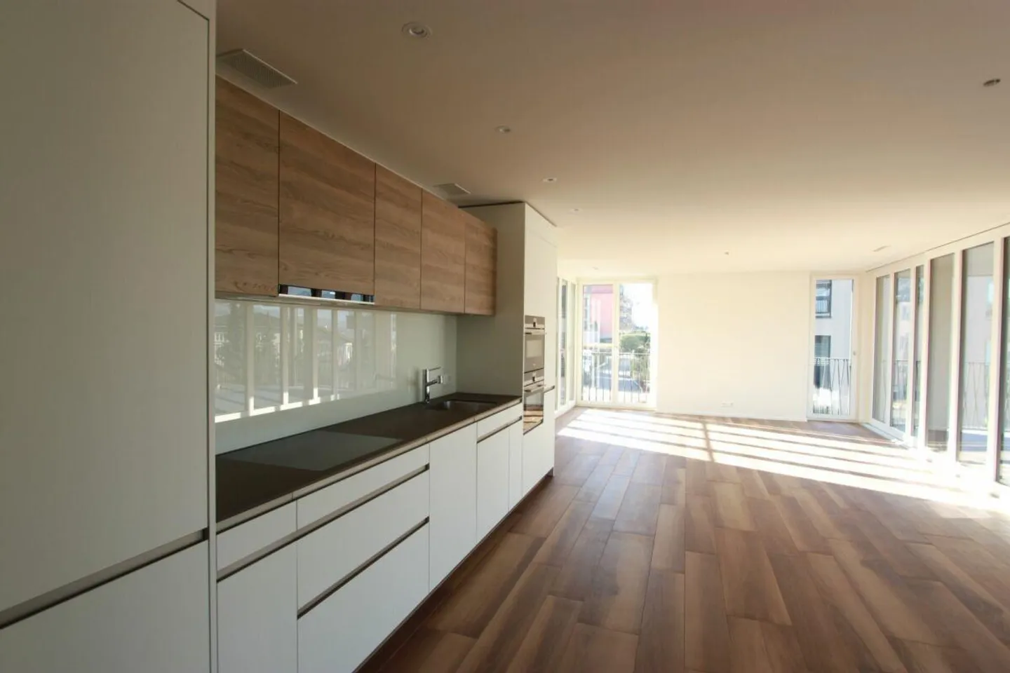 Vivre avec une belle vue sur le lac et les montagnes - Photo 3 sur 8