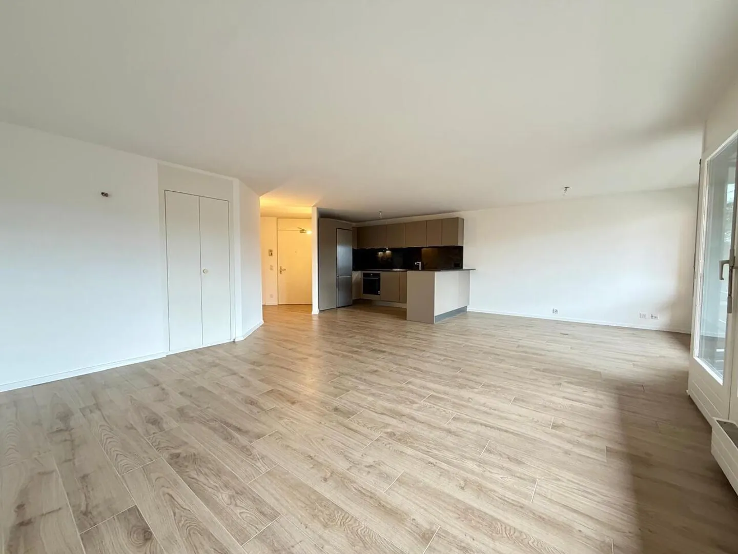 Beautiful modern 4.5-room apartment - Photo 1 of 14