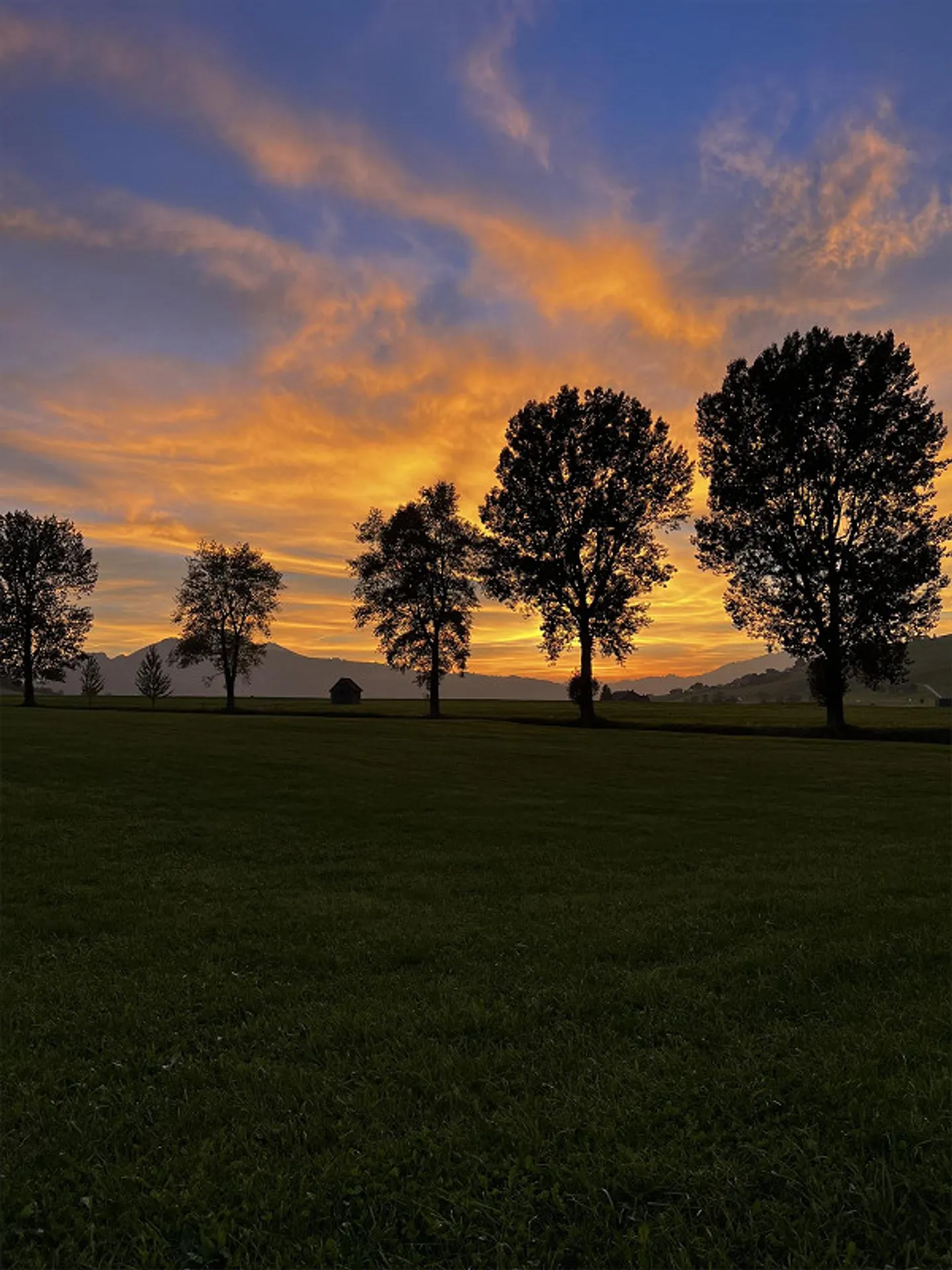 7.5 - Room Single Family House - Photo 10 of 10