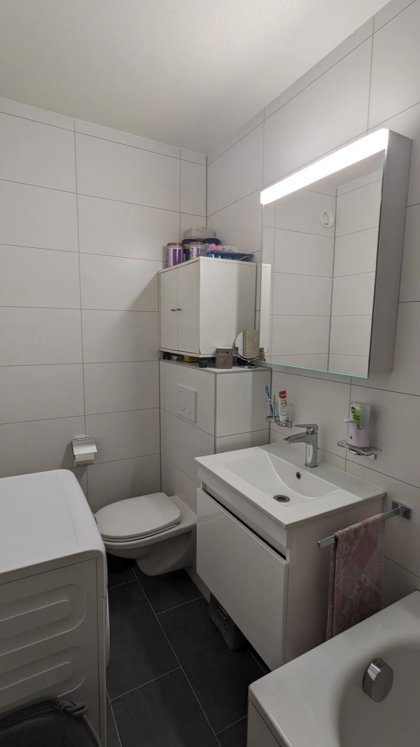 3.5 Room Apartment - Photo 9 of 12