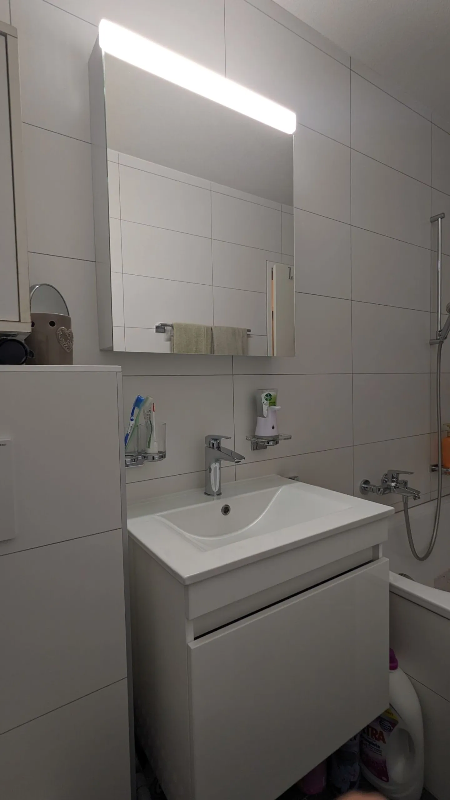 3.5 Room Apartment - Photo 6 of 12