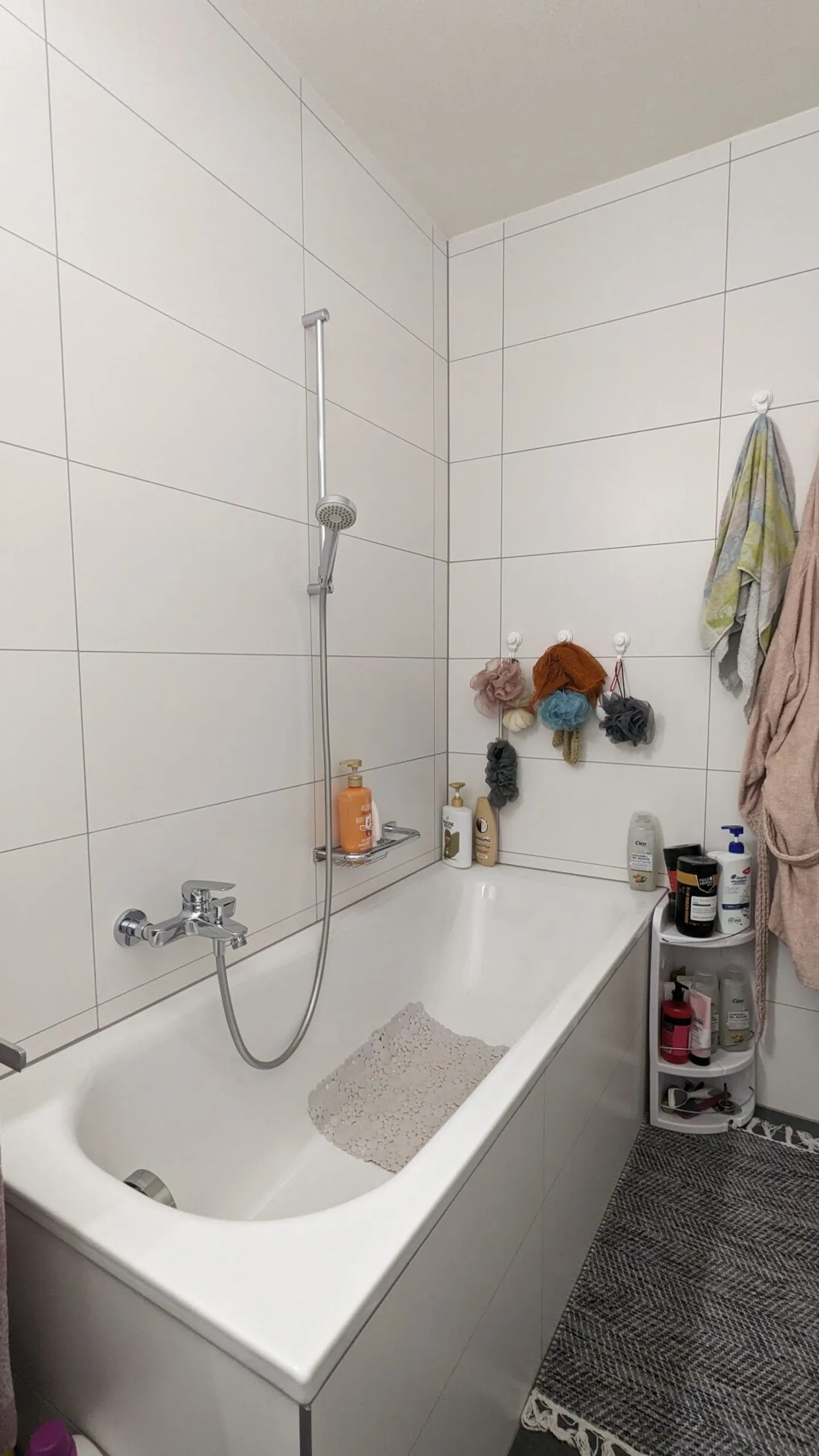 3.5 Room Apartment - Photo 7 of 12