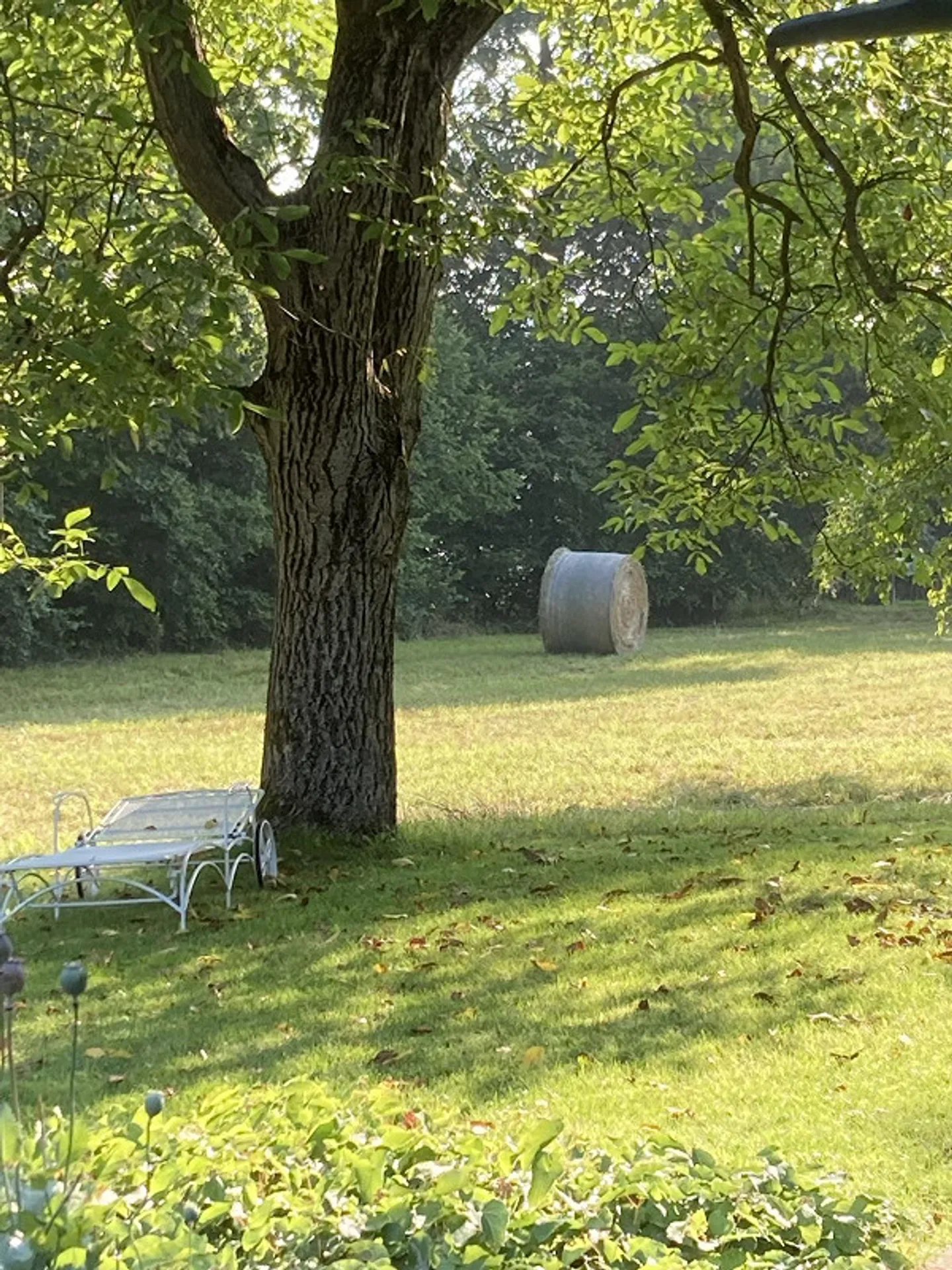 50m2 Studio in the Green in a Community House - Photo 4 of 9