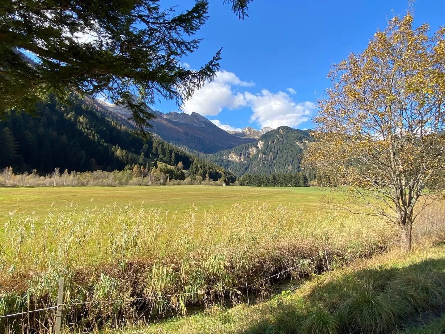 Create Your Dream Restaurant or Bed & Breakfast in the Swiss Alps - Photo 2 of 4