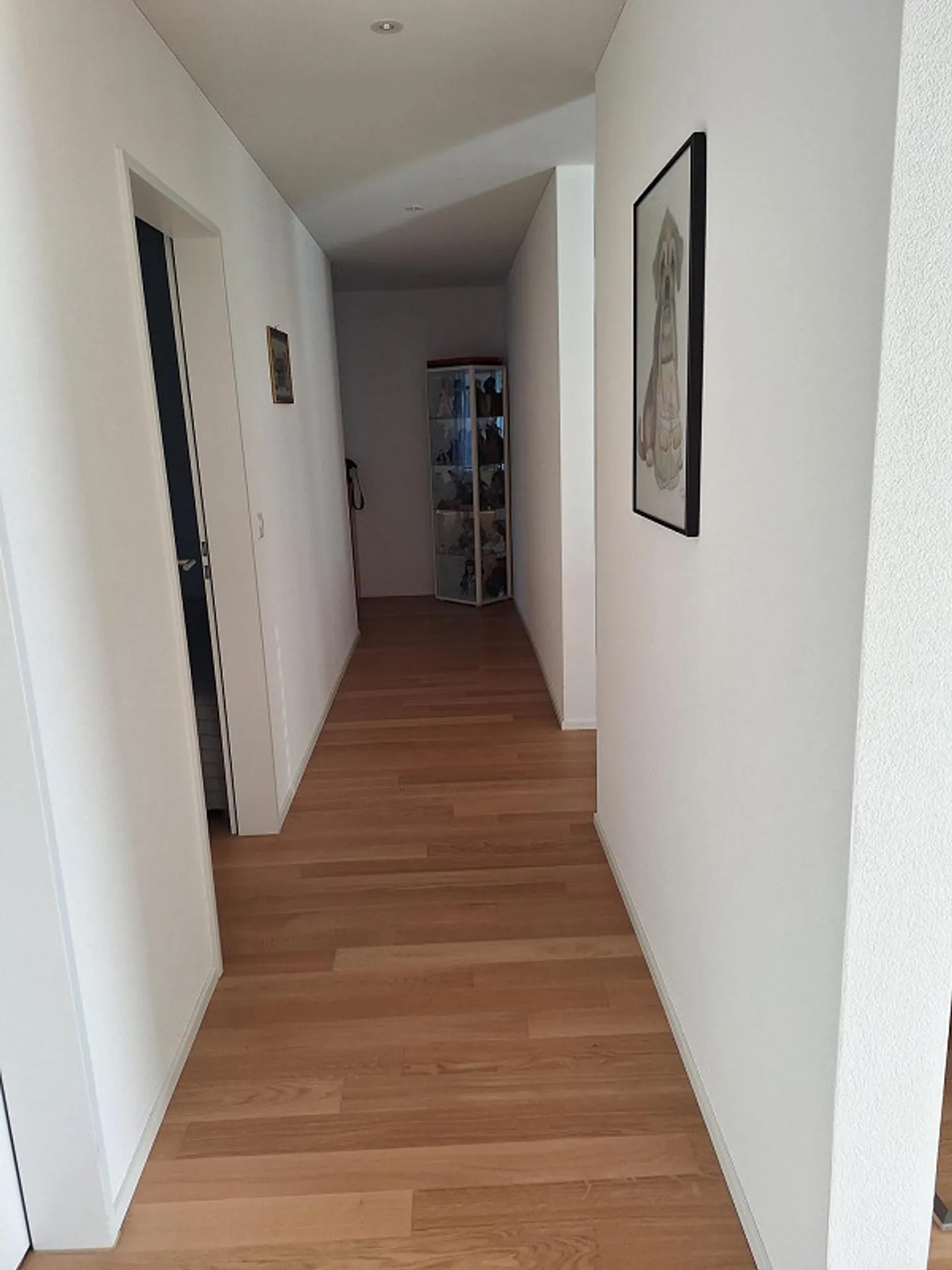 Cerca un nuovo inquilino - Foto 3 di 7