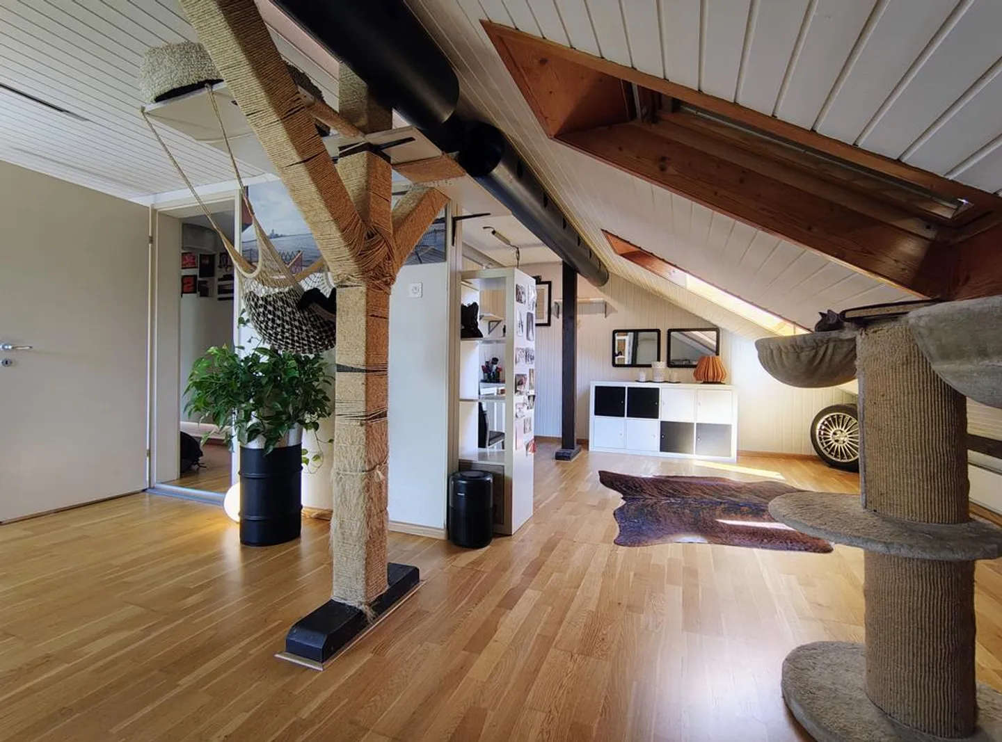 Beautiful, bright 1-room attic in Birsfelden - Photo 4 of 9