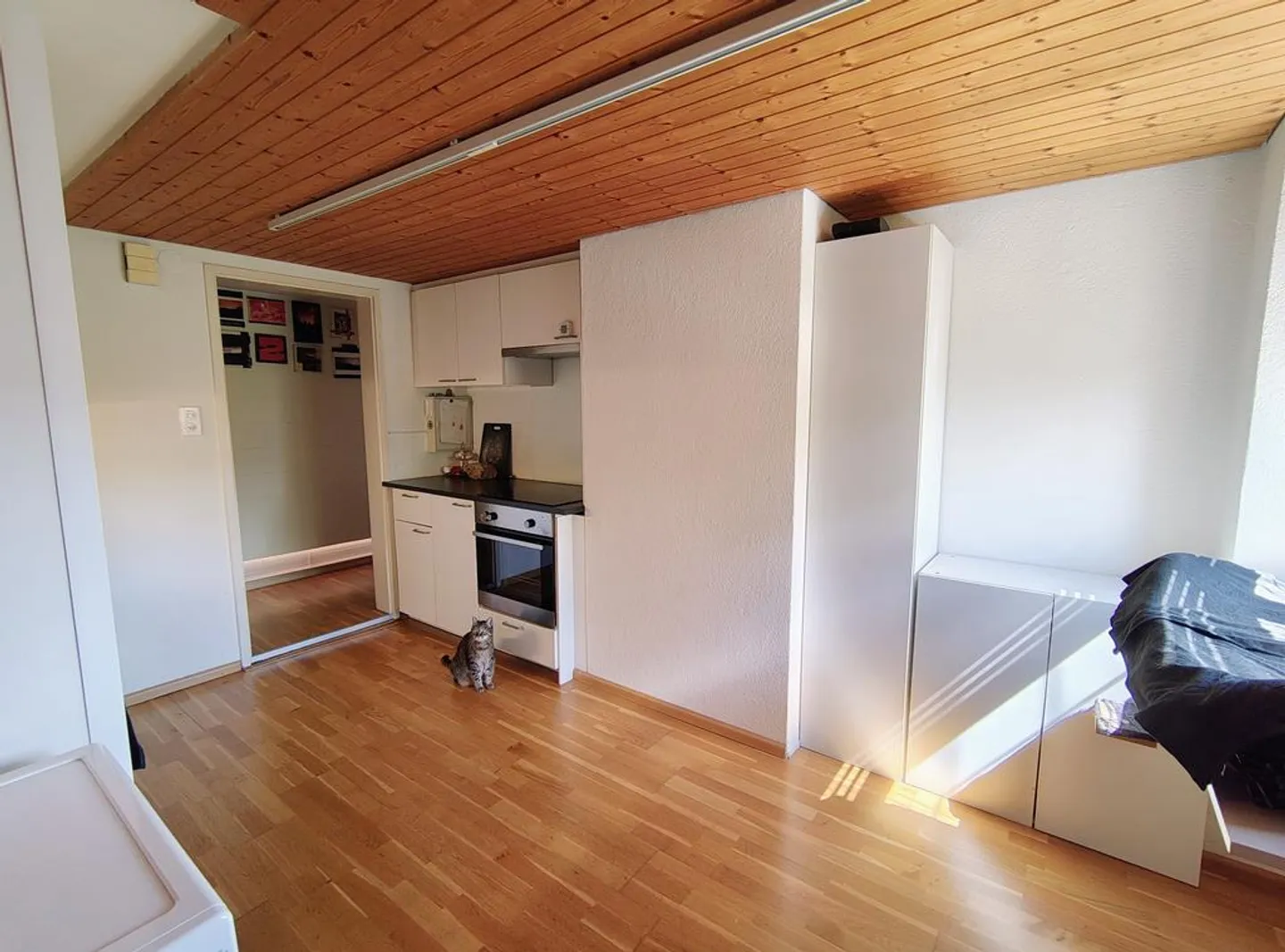 Beautiful, bright 1-room attic in Birsfelden - Photo 7 of 9
