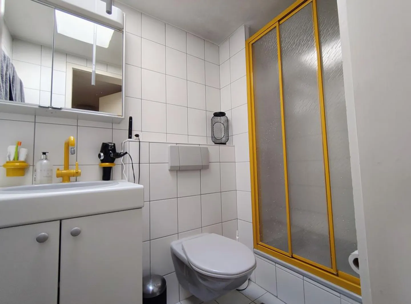 Beautiful, bright 1-room attic in Birsfelden - Photo 9 of 9