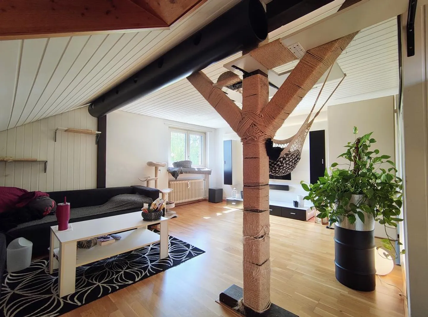 Beautiful, bright 1-room attic in Birsfelden - Photo 2 of 9