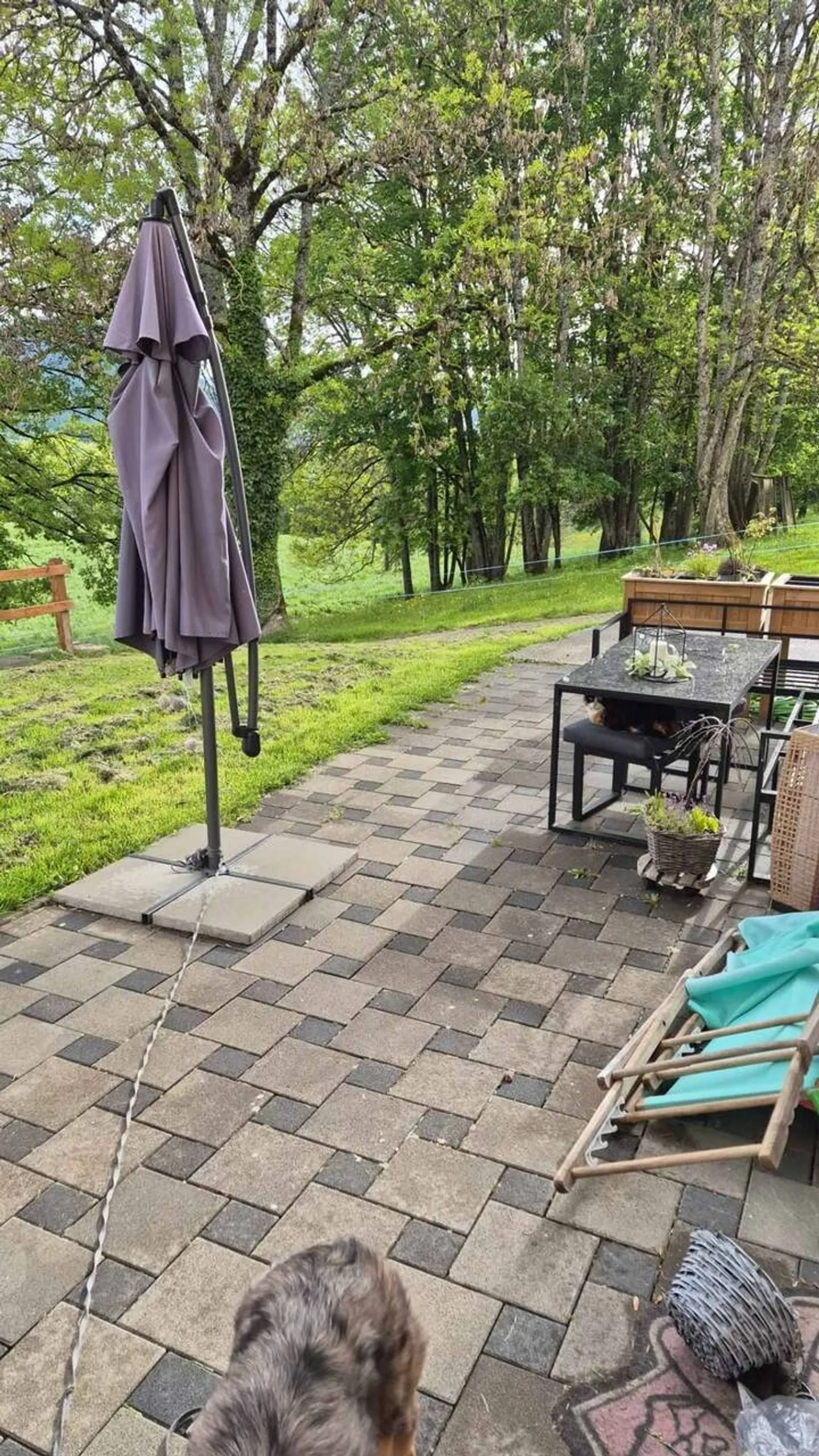 Joli appartement de 3,5 pièces à louer - Foto 3 di 4