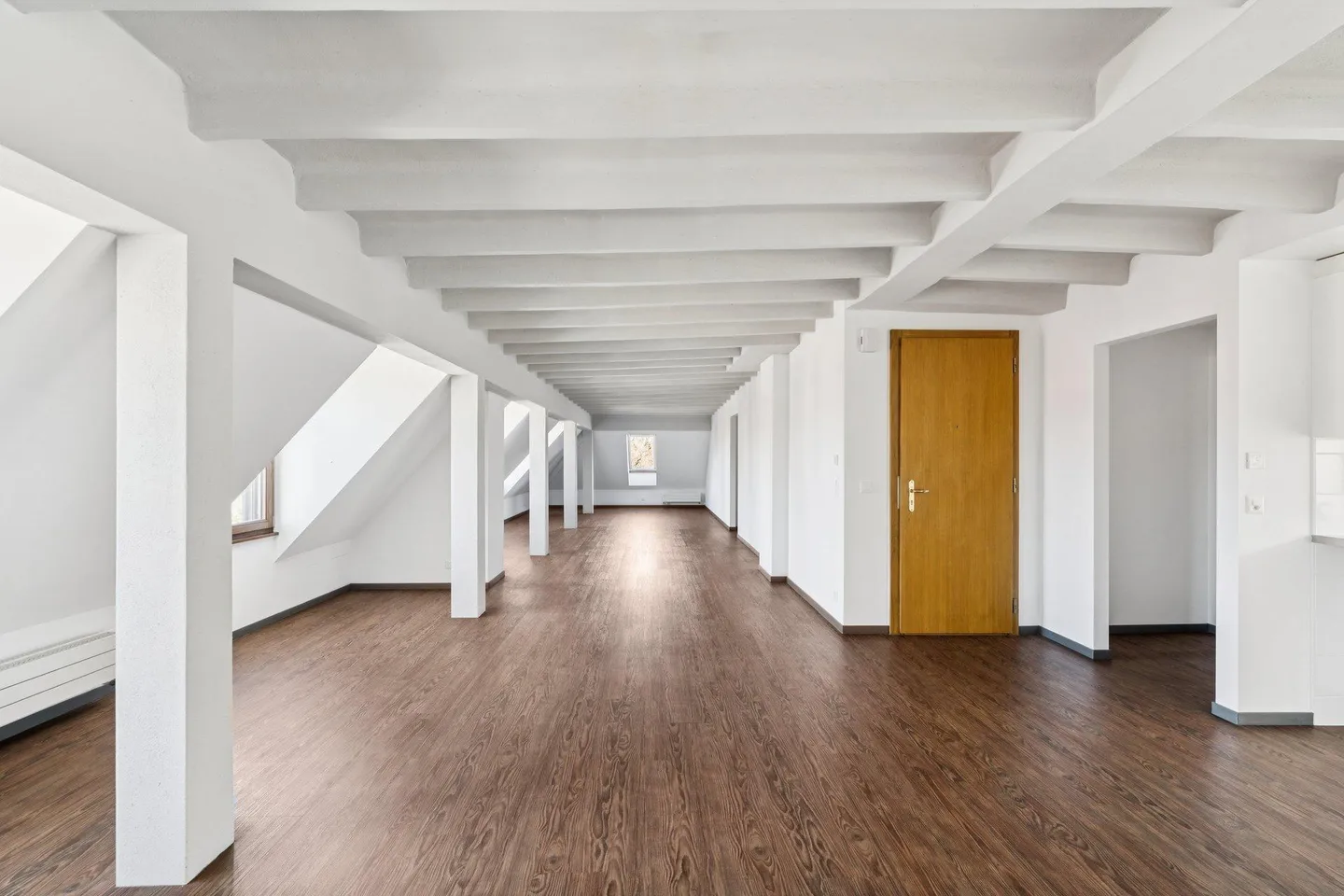 Spacious apartment, close to Lake Geneva and Parc La Grange - Photo 3 of 13