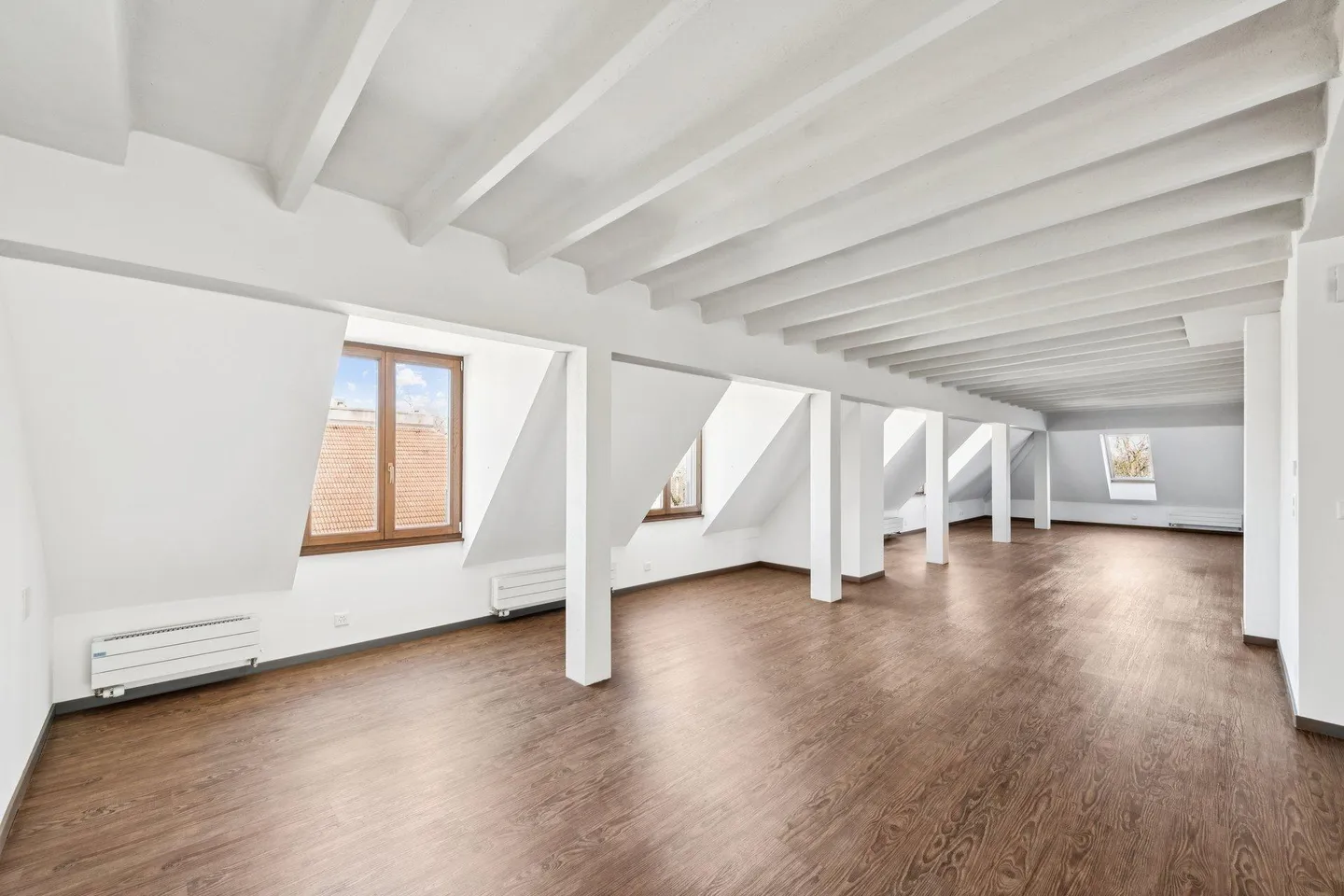 Spacious apartment, close to Lake Geneva and Parc La Grange - Photo 4 of 13