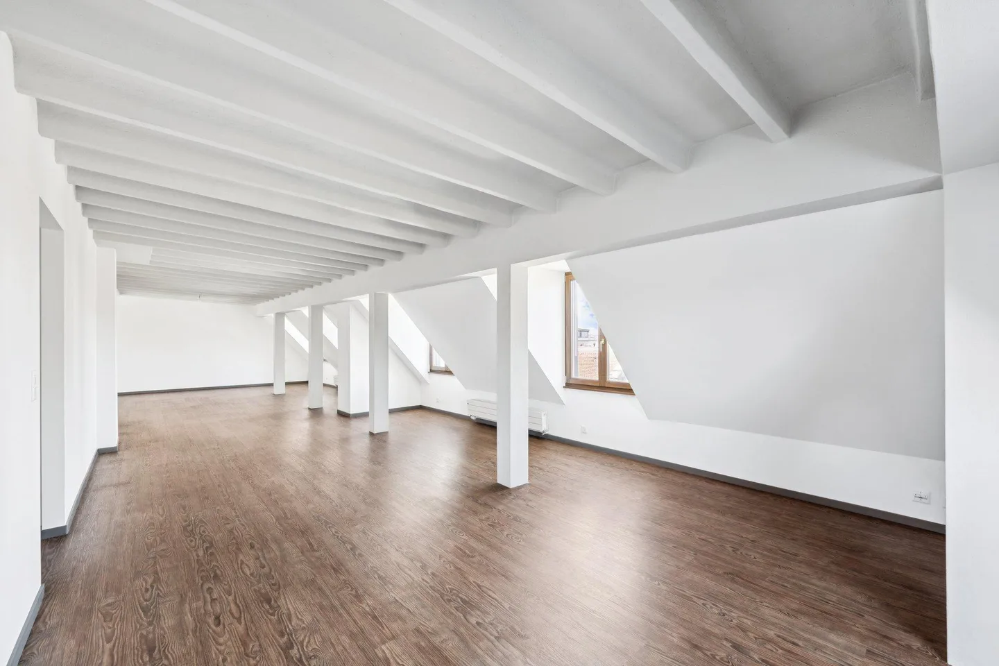 Spacious apartment, close to Lake Geneva and Parc La Grange - Photo 5 of 13