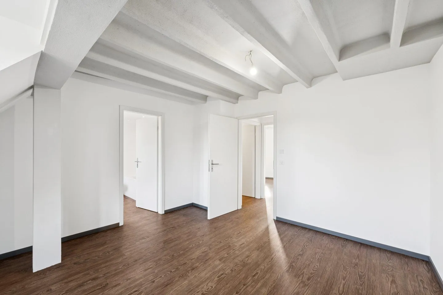 Spacious apartment, close to Lake Geneva and Parc La Grange - Photo 10 of 13