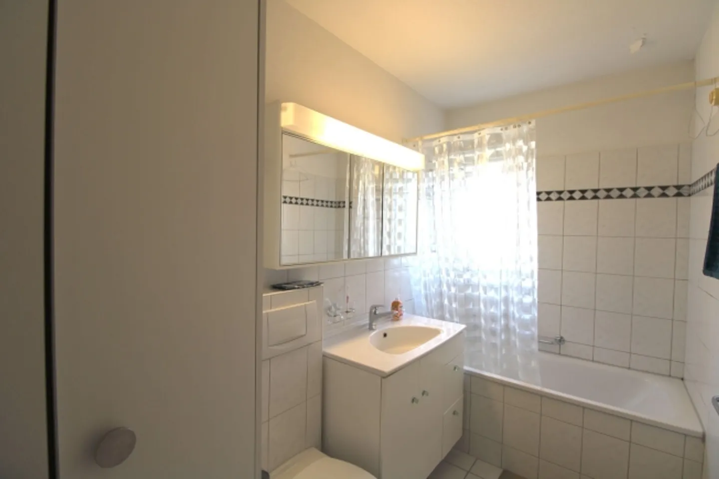 Peaceful Coliving Oasis in Zürich Albisrieden - Photo 2 of 2