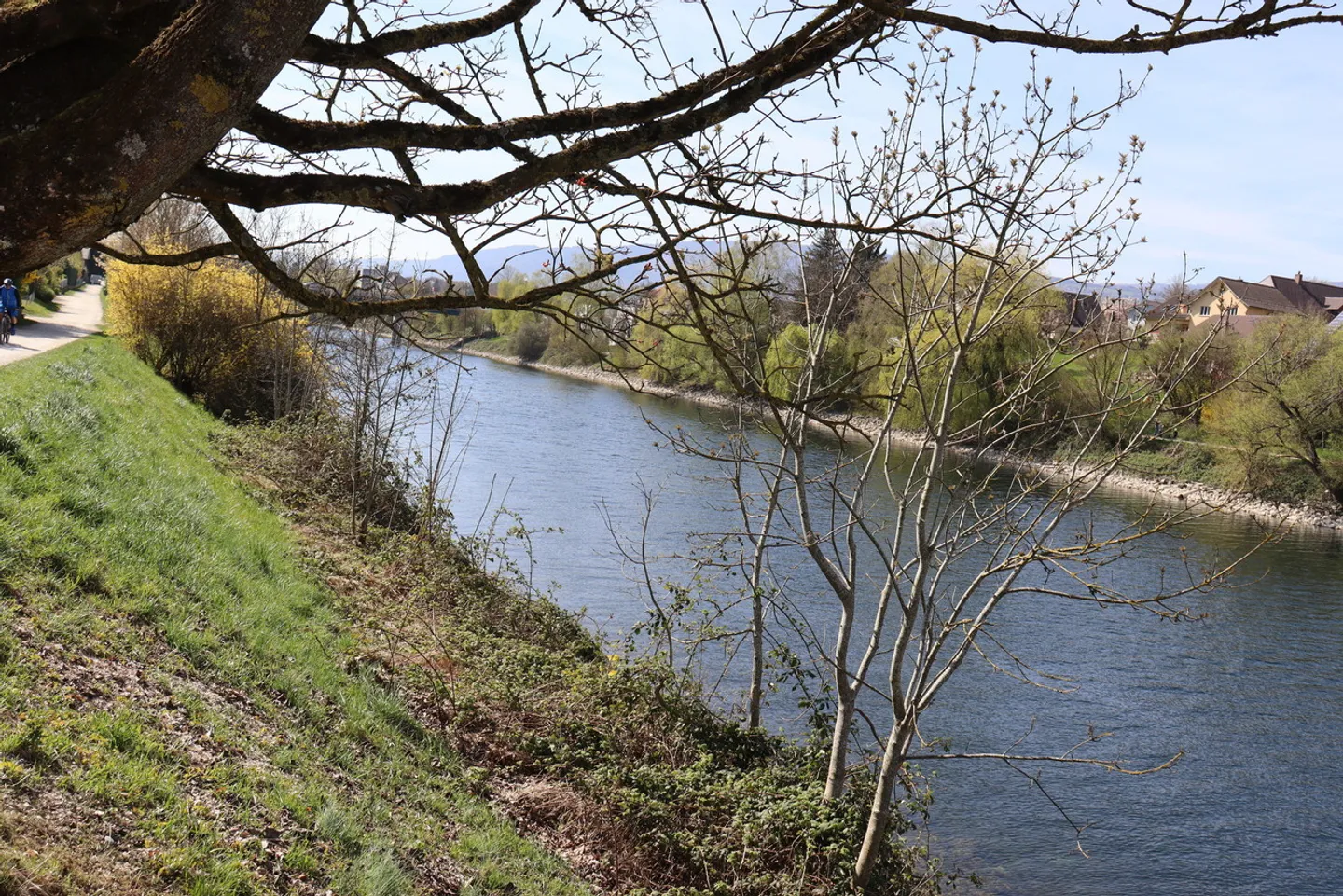 Large 4.5 Room Apartment in a Sensational Location - Photo 14 of 15