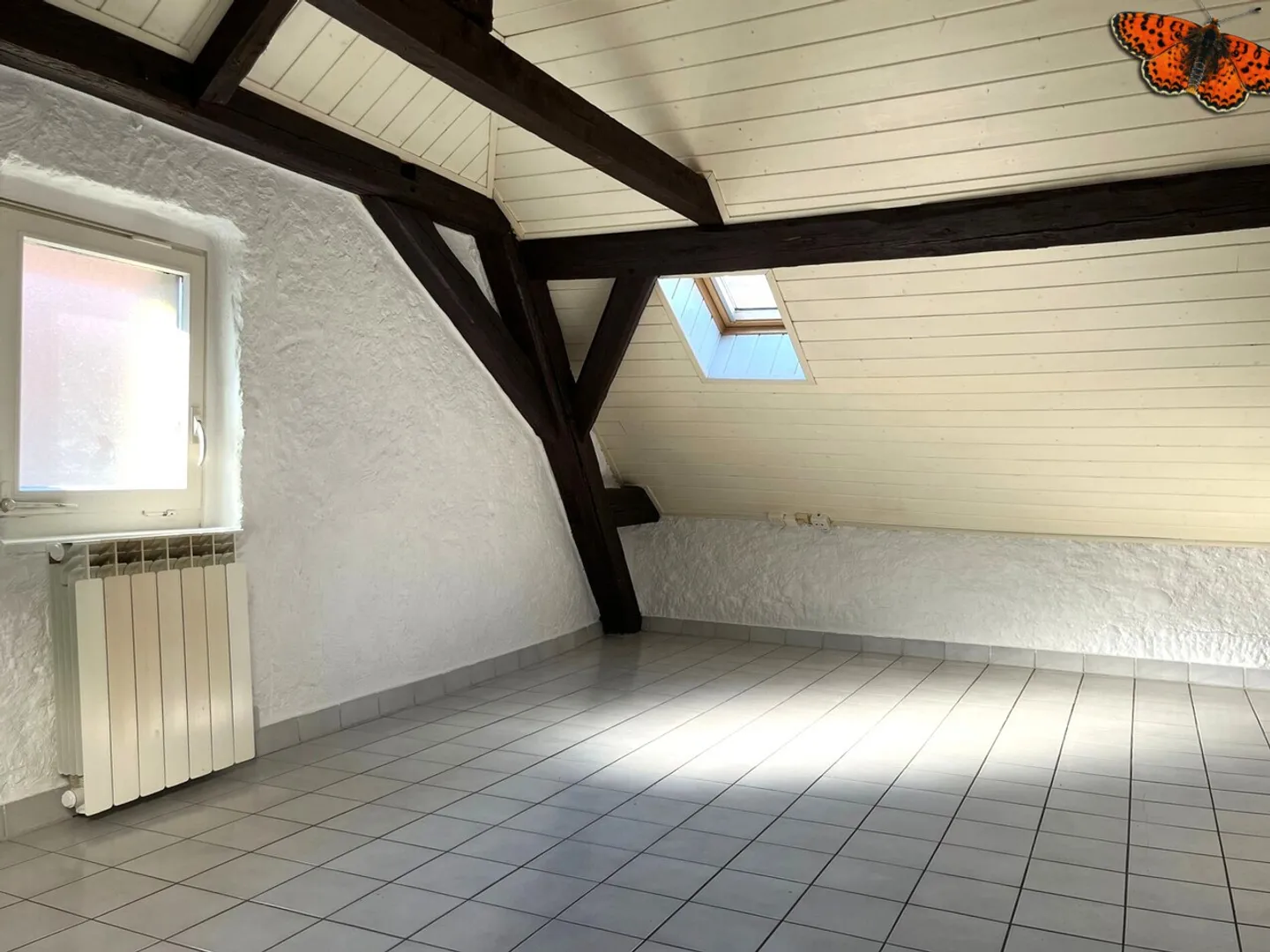 STUDIO - Close to all amenities! - Photo 4 of 5