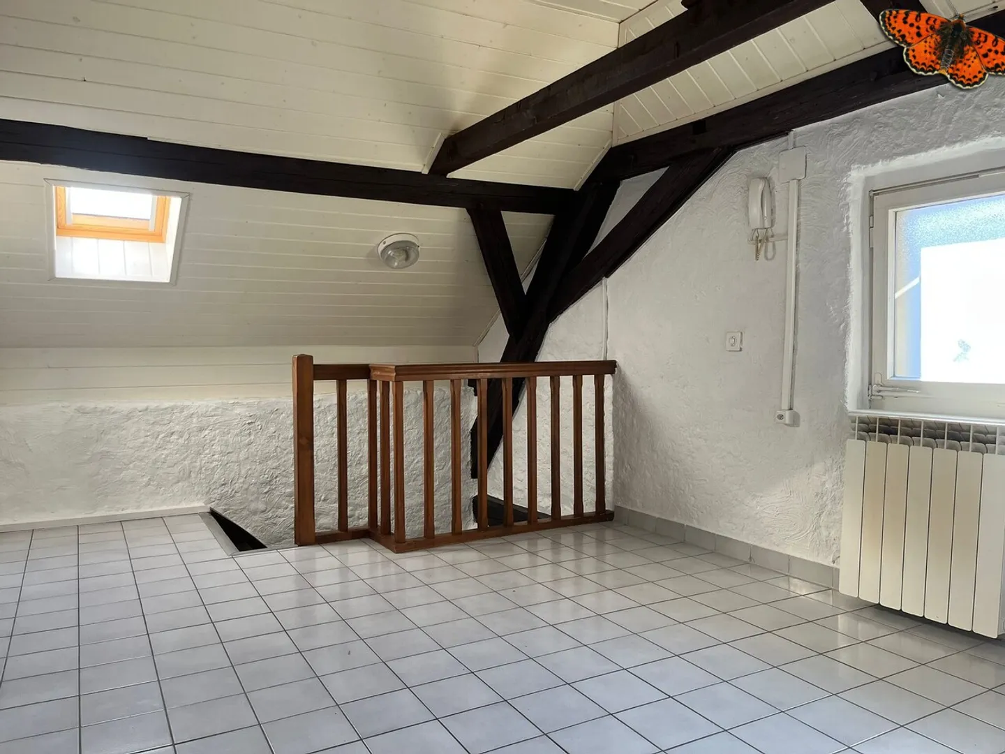 STUDIO - Close to all amenities! - Photo 3 of 5