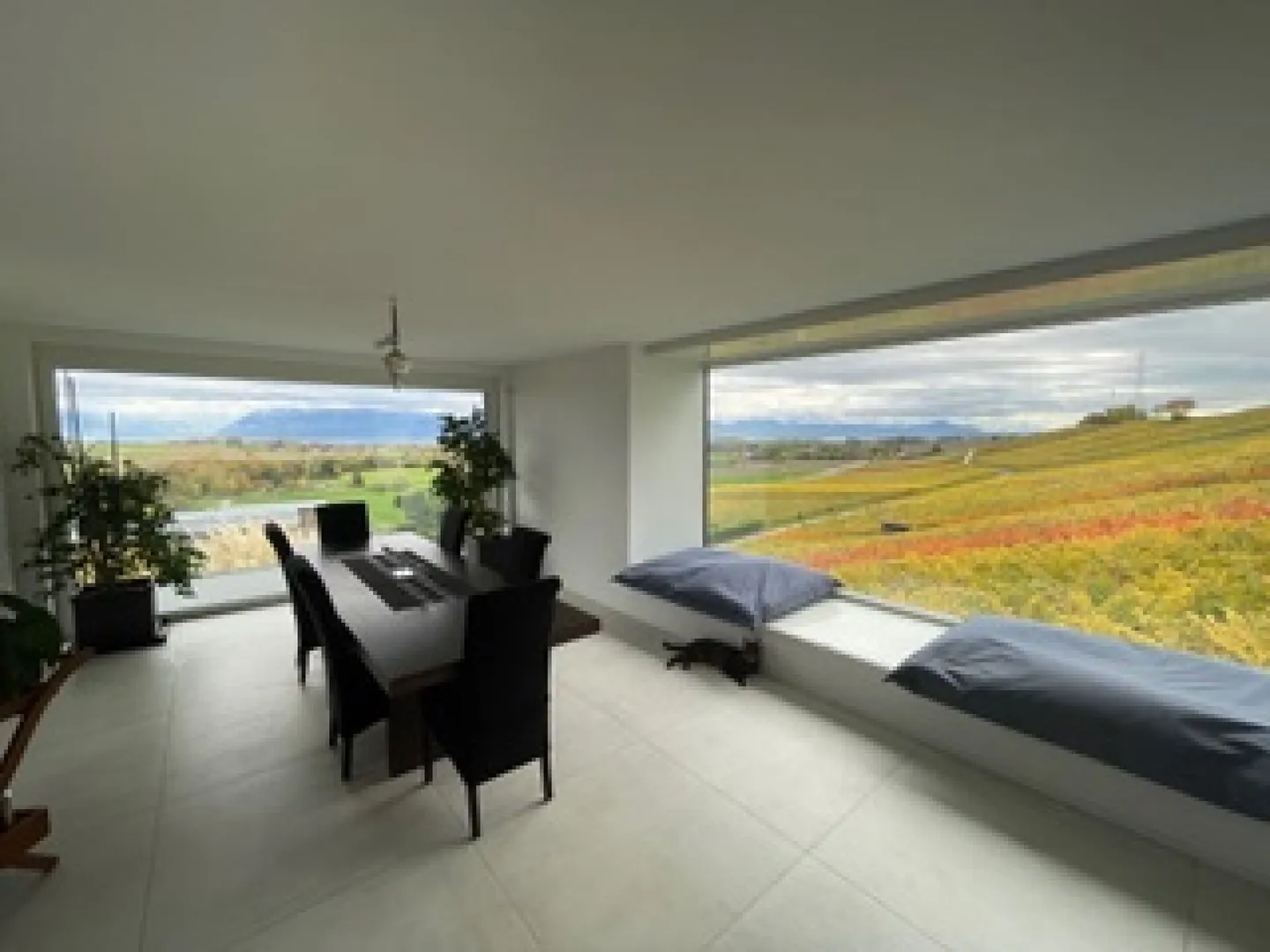 CLARMONT - Magnifique Villa d'architecte et Vignoble privé - Photo 8 sur 27