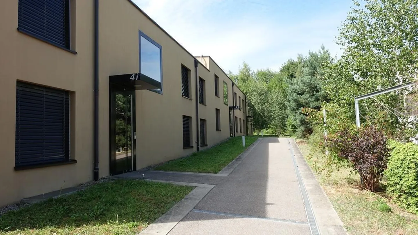Geräumige moderne Wohnung im Grünen - Foto 4 von 10