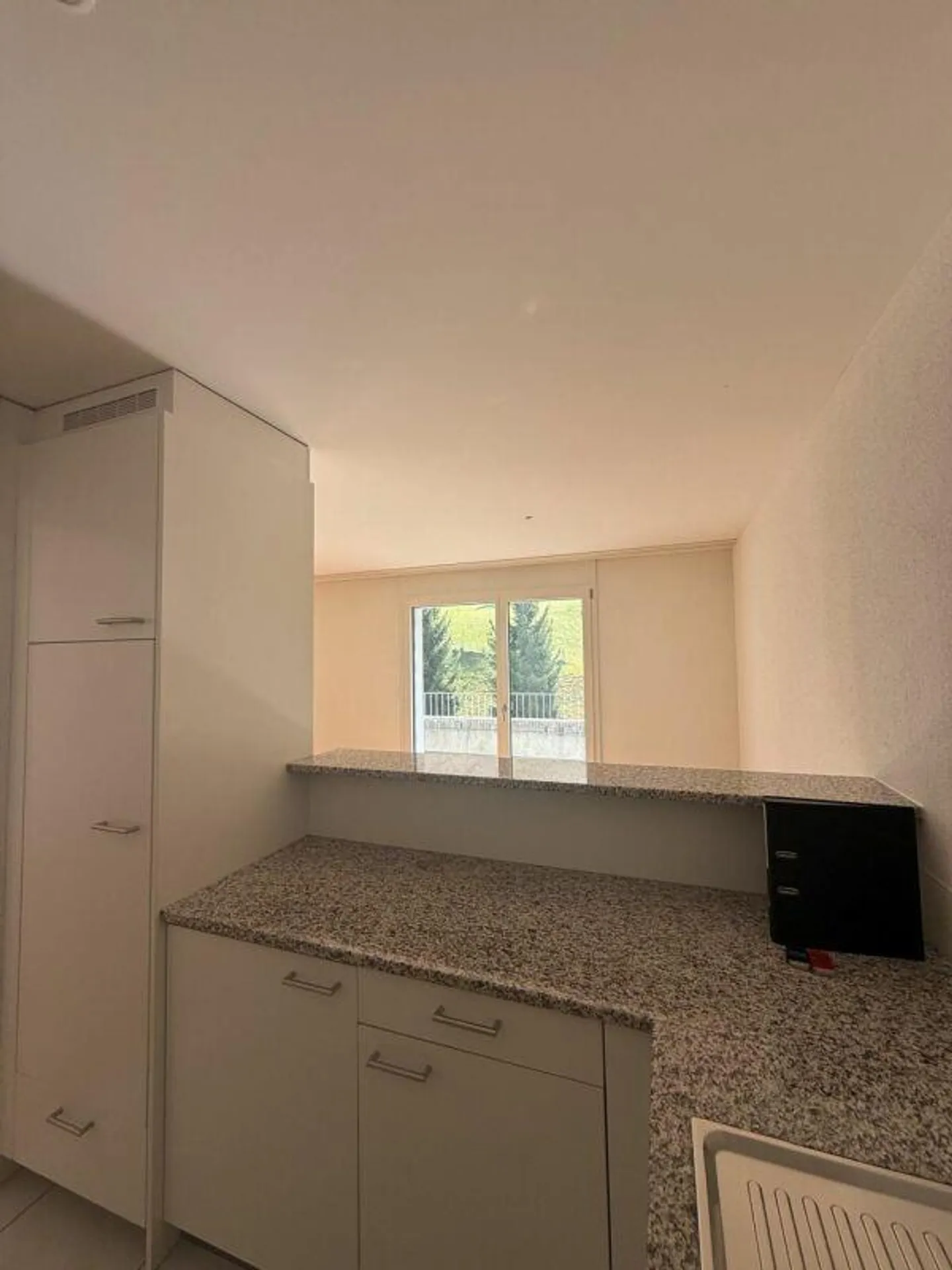 Grosszügige Wohnung mit Rigi-Blick - Foto 8 von 12