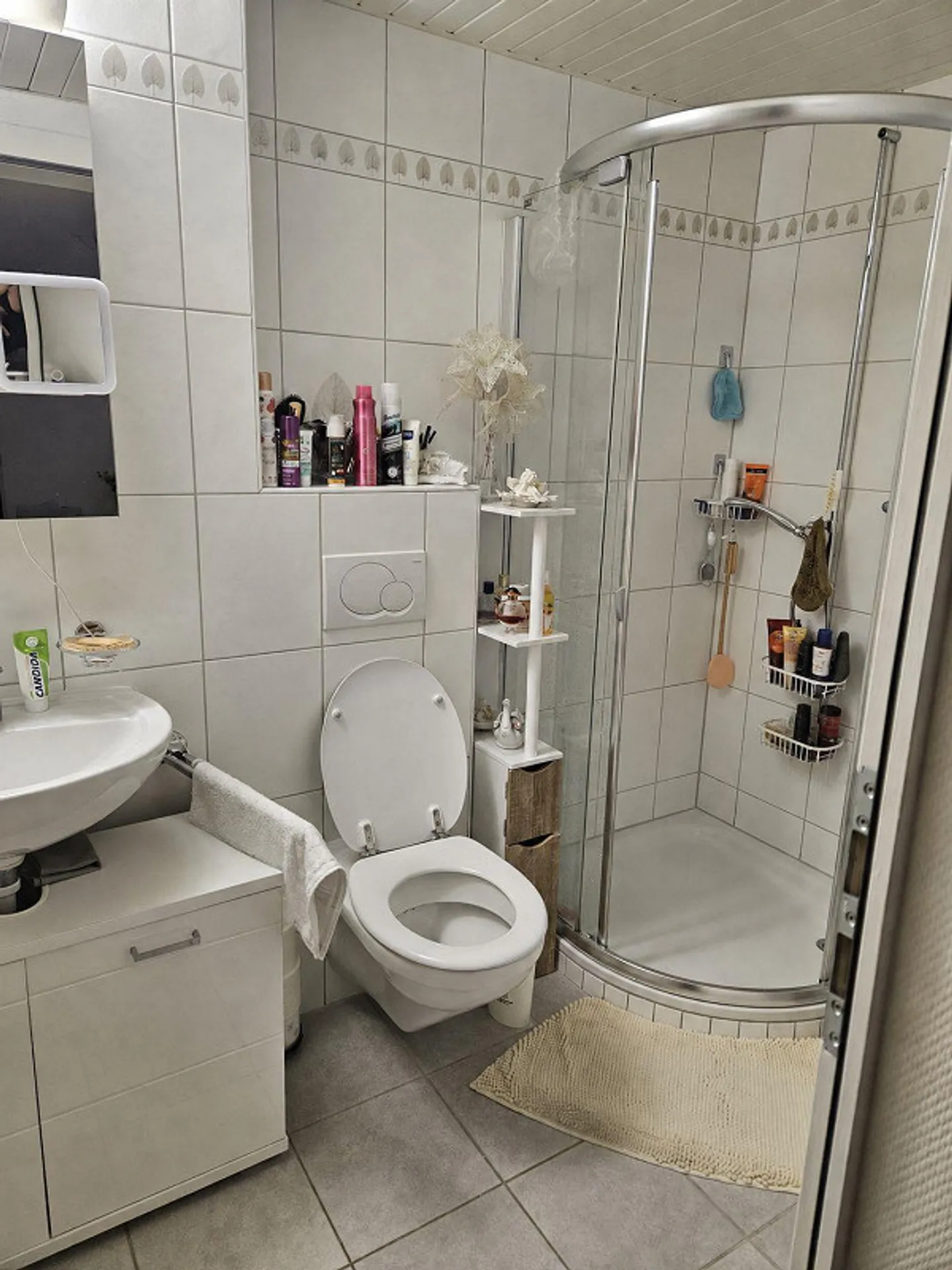 Accogliente appartamento con 1 camera a Binningen - Cercasi nuovo inquilino - Foto 4 di 6