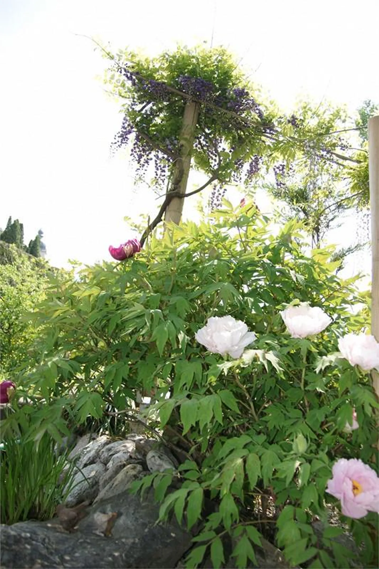 Large and bright 5-room apartment with Swedish stove, winter garden, balcony - Photo 25 of 26