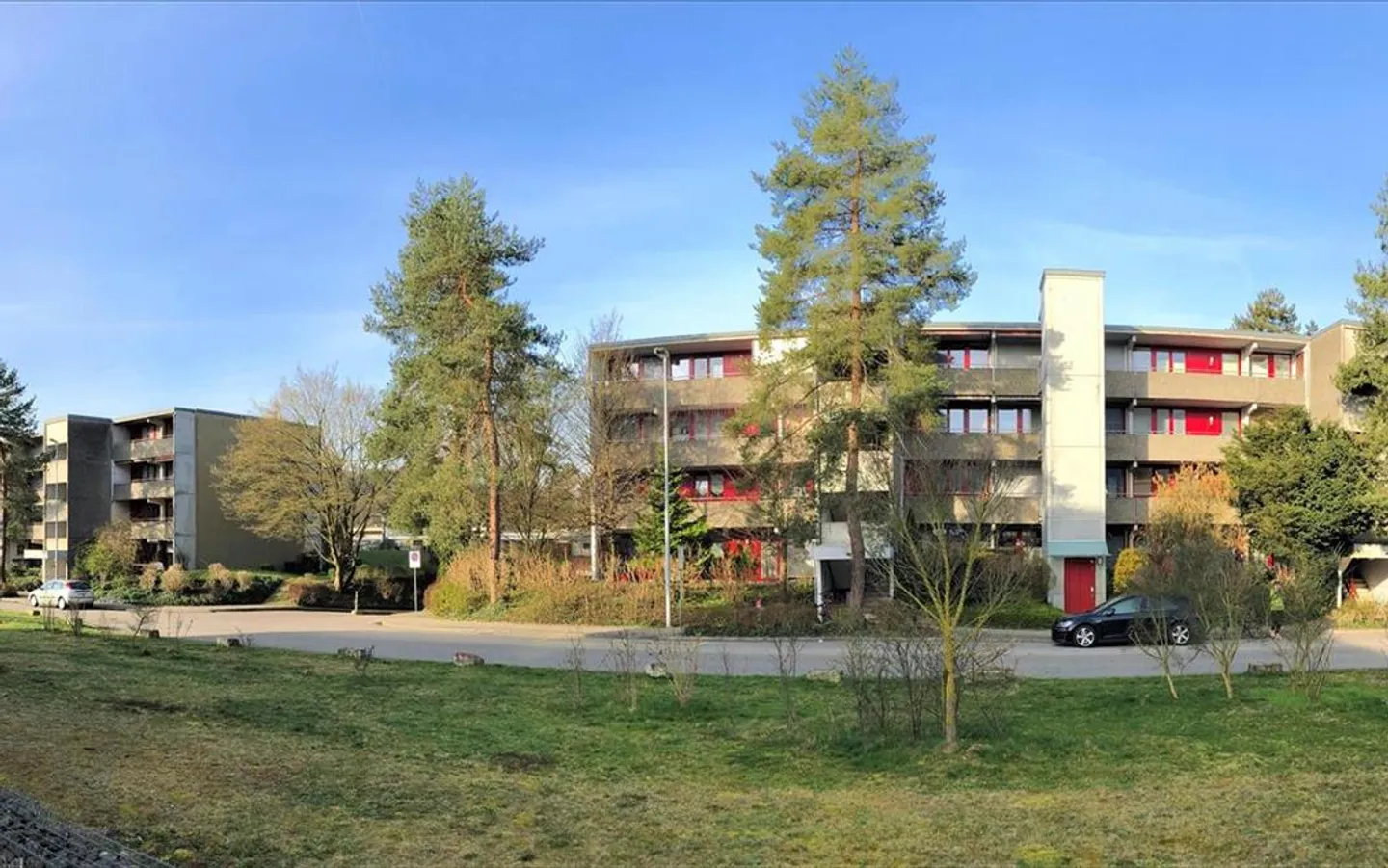 Bellissimo ambiente verde - Foto 1 di 8