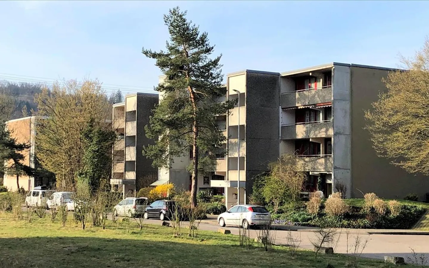 Bellissimo ambiente verde - Foto 2 di 8