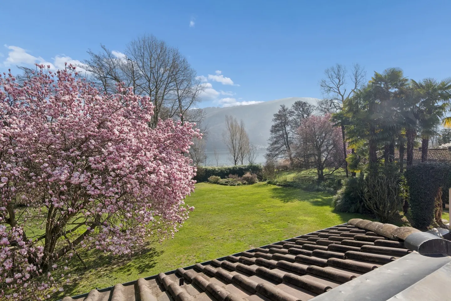 Villa Magnolia: Wunderschöne Villa am See in Magliaso - Foto 6 von 21