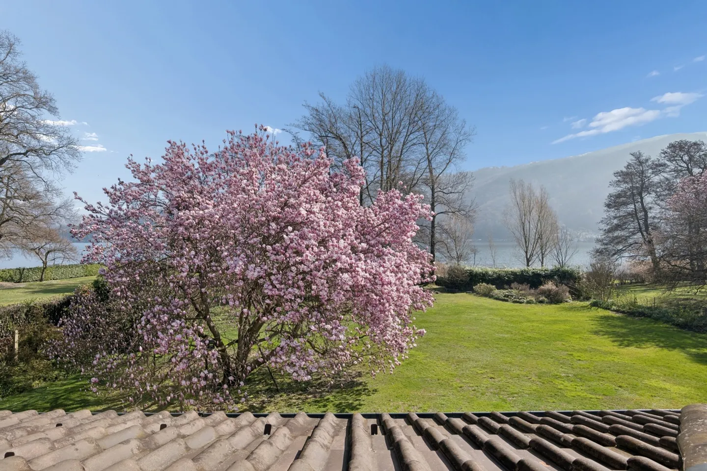 Villa Magnolia: Wunderschöne Villa am See in Magliaso - Foto 13 von 21