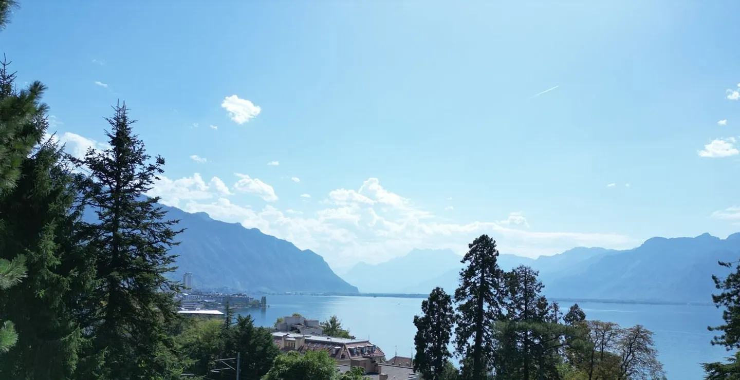 GERÄUMIGE 4,5-ZIMMER-WOHNUNG VOLLSTÄNDIG RENOVIERT MIT EINEM SEHR SCHÖNEN BLICK - Foto 6 von 13