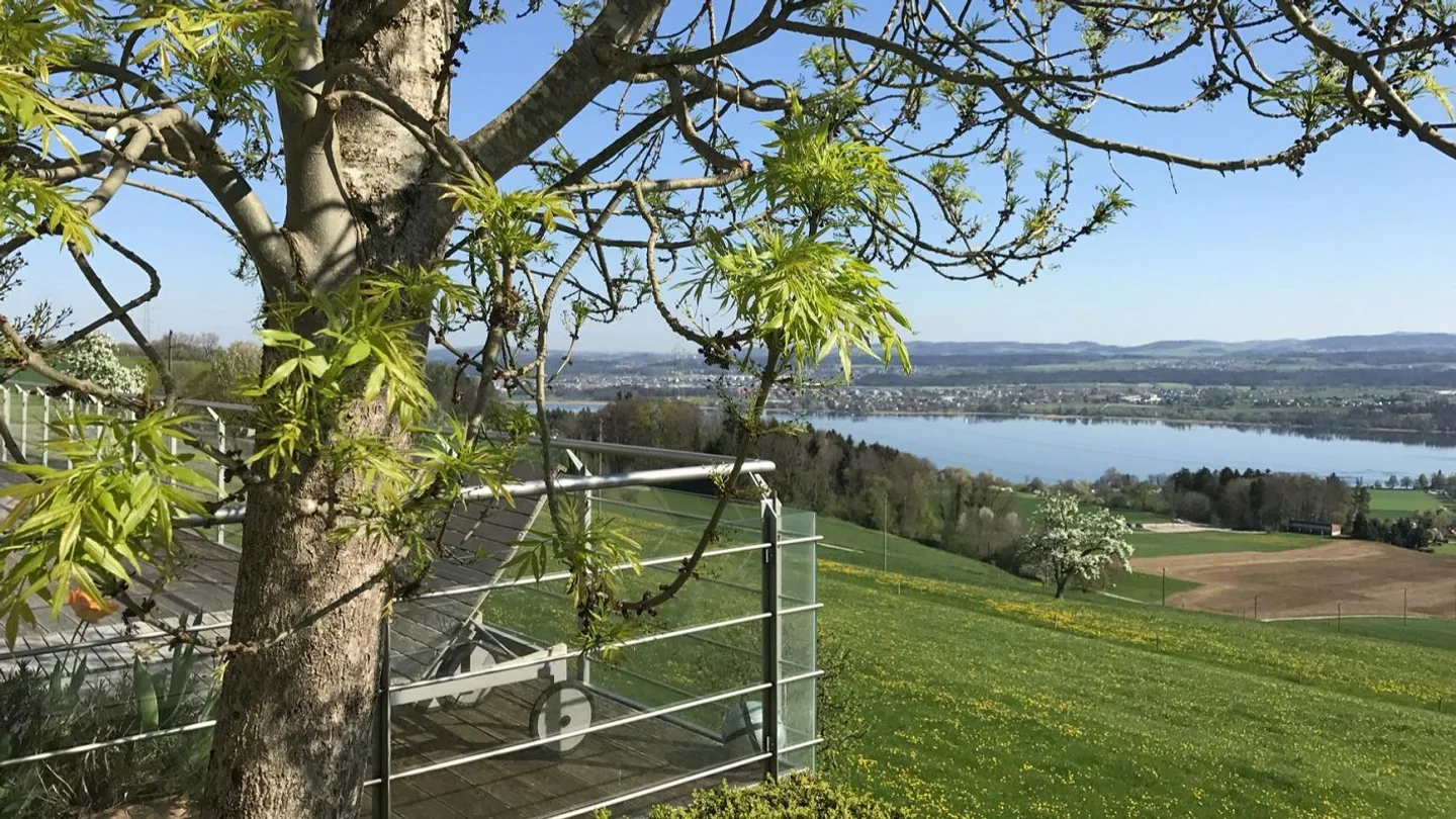 Un posto in loggia sopra il lago Greifen - Foto 7 di 7